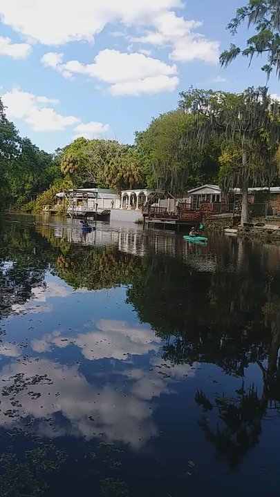 Alan Wright Park - Parks Near Me - Tampa, Florida