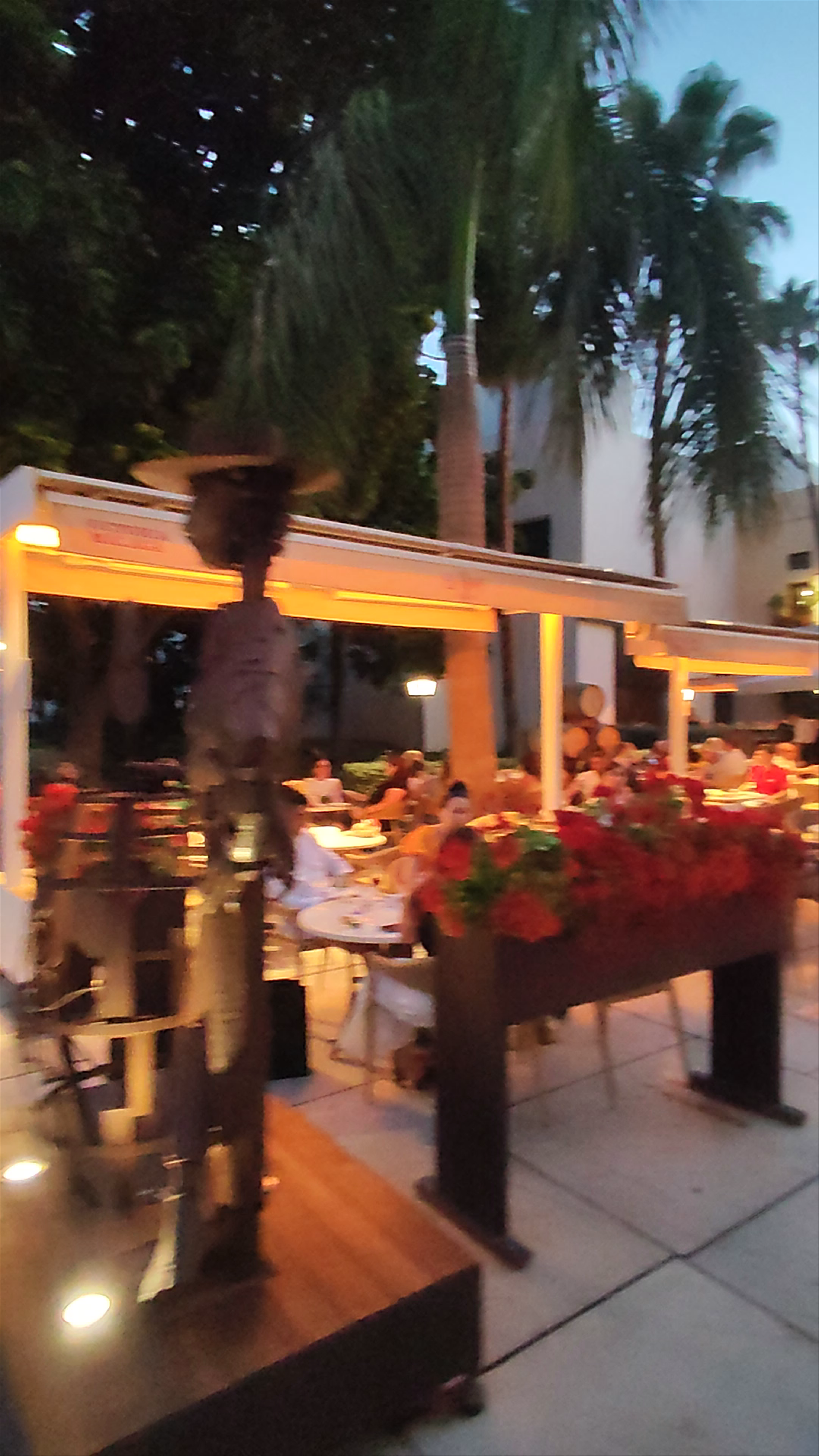 El Pimpi: Iconic Evening Dining in Málaga, Spain