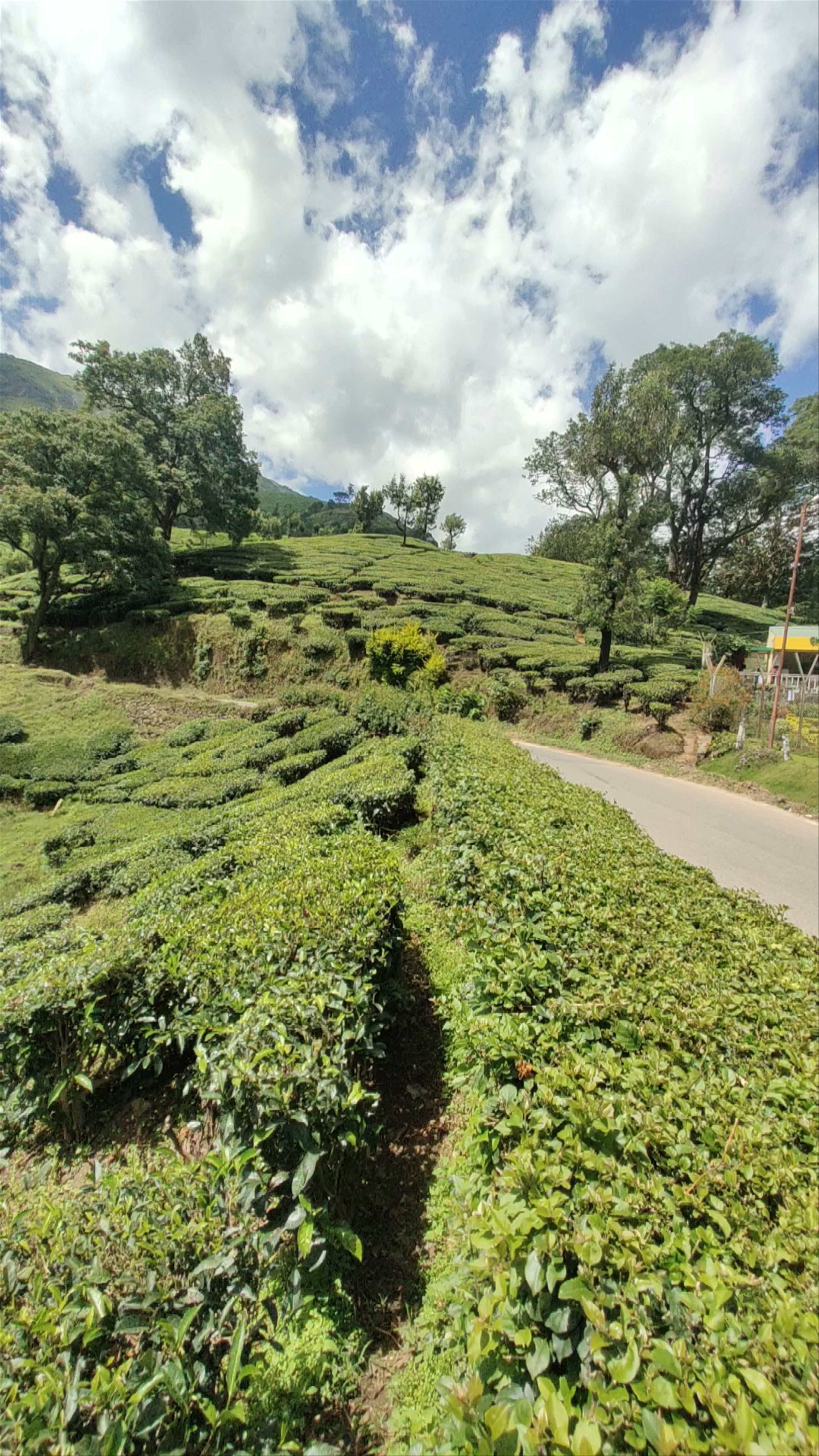 Munnar
