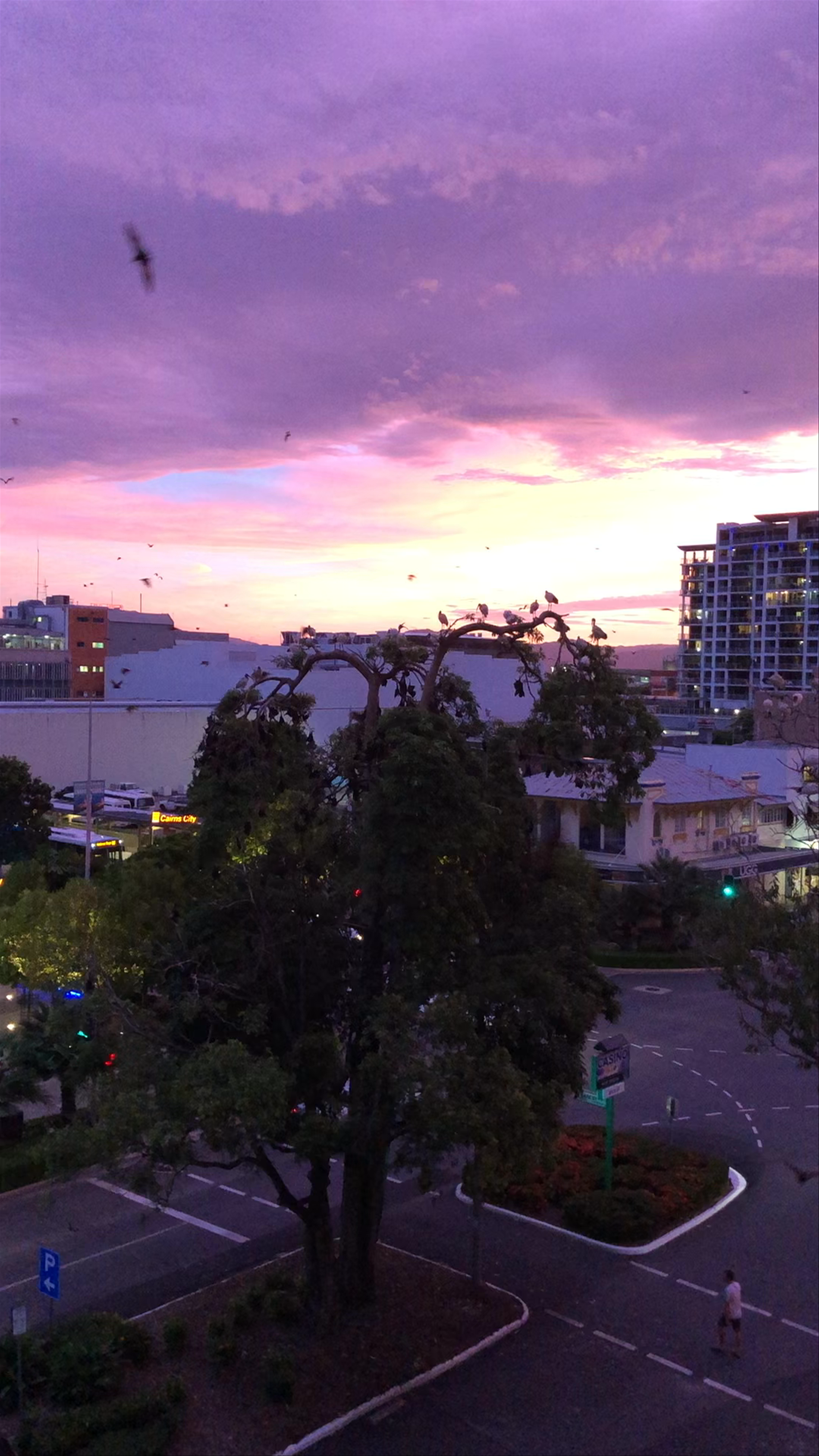 Twilight Serenity Over Cairns City, Australia
