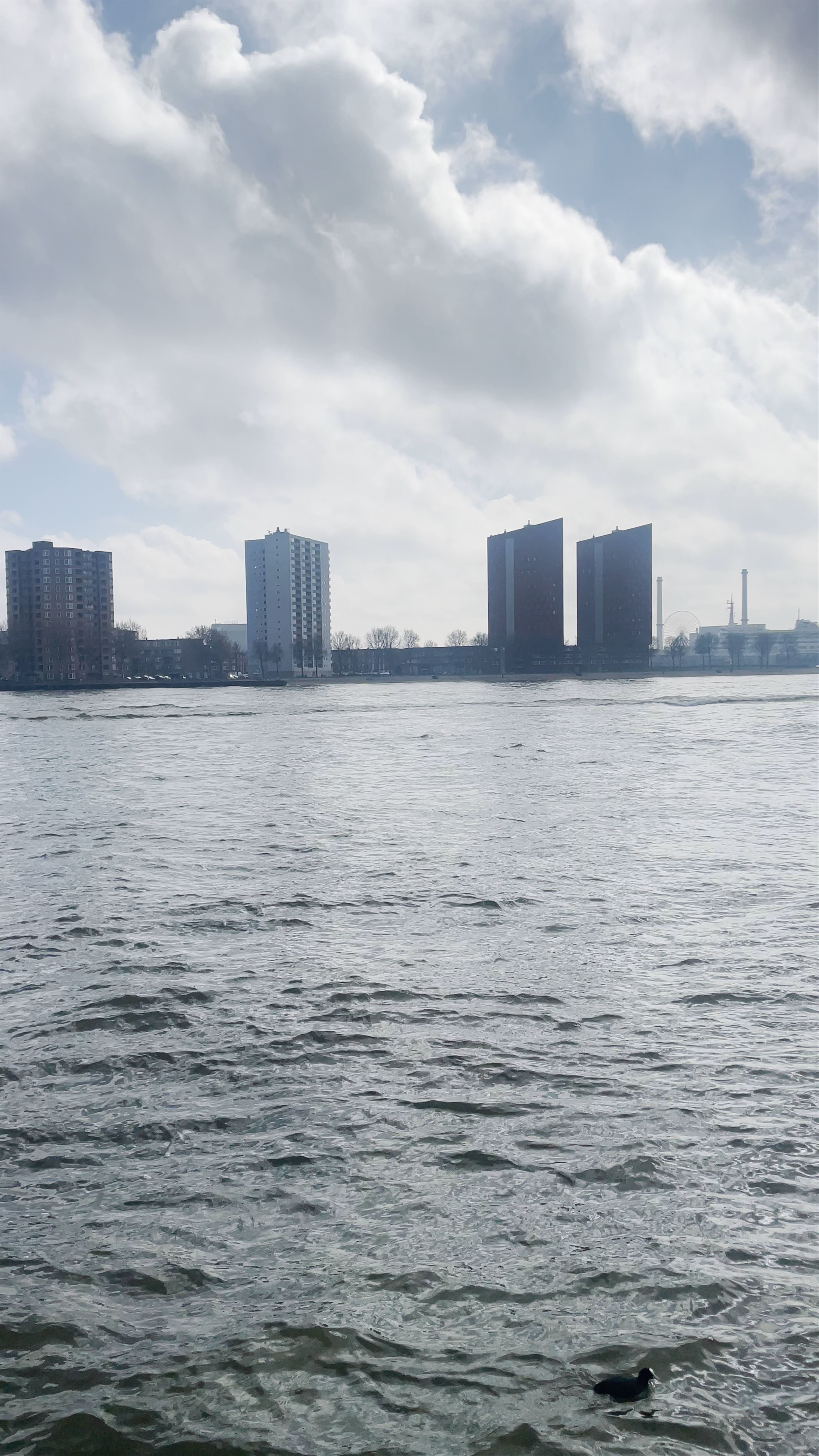 Scenic River Views and Urban Adventure in Rotterdam Centrum