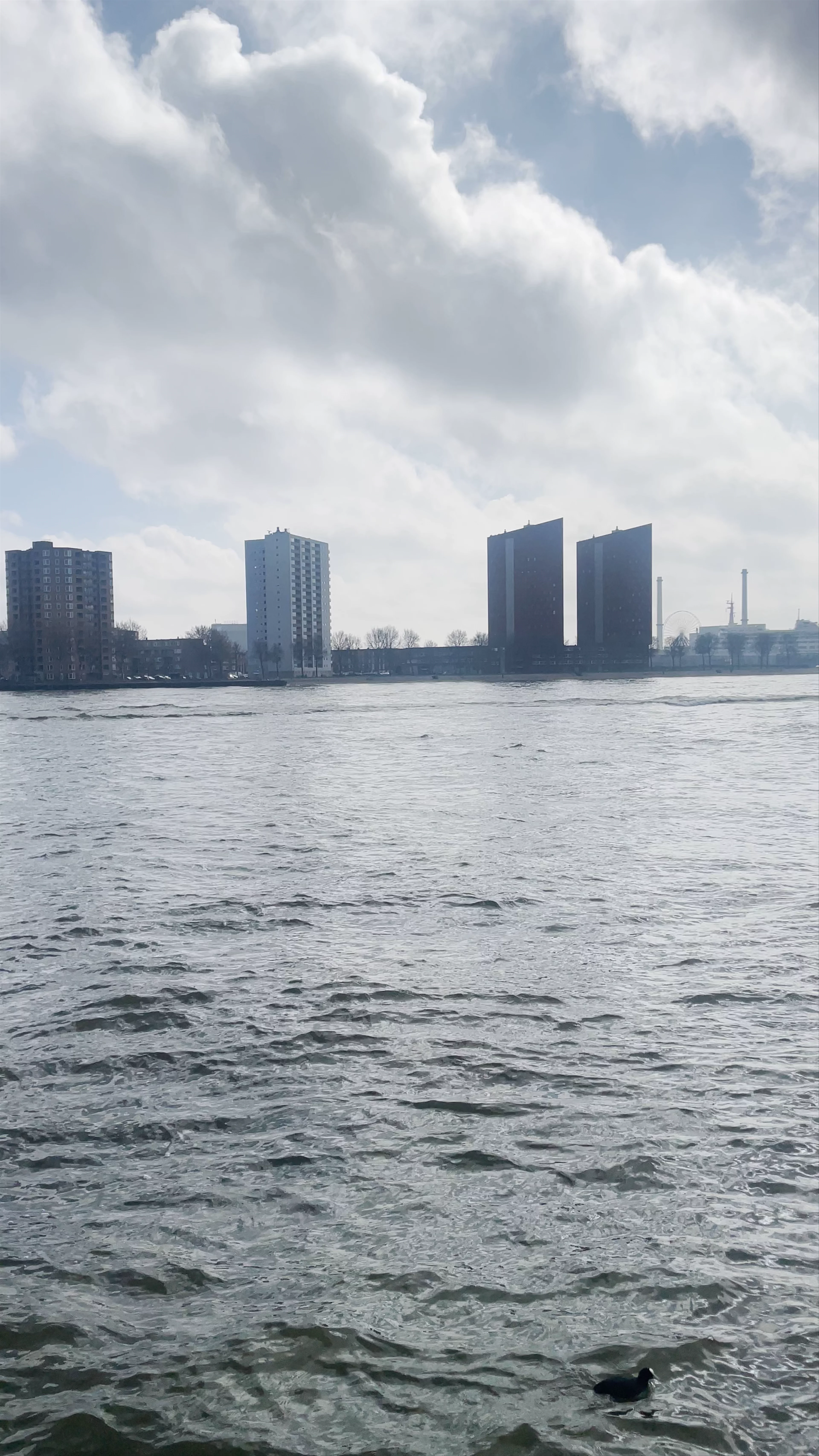 Rotterdam Centrum