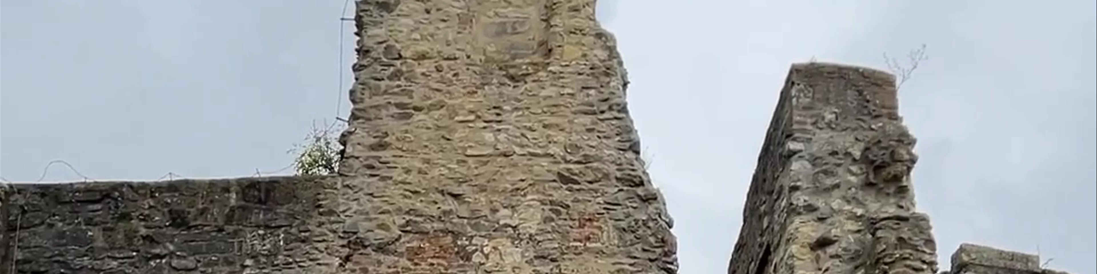 Hrad Boskovice