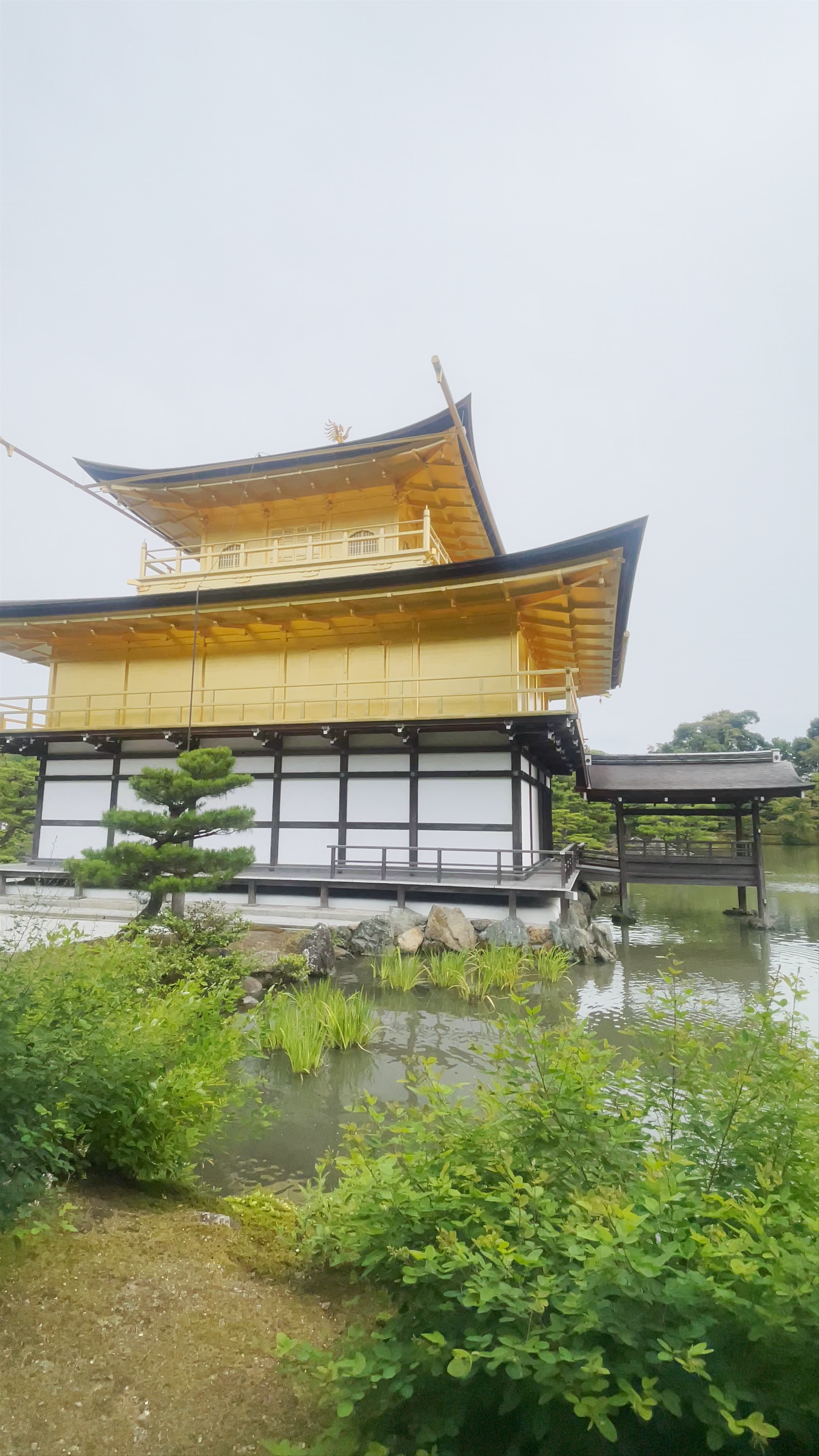 Kinkaku-ji