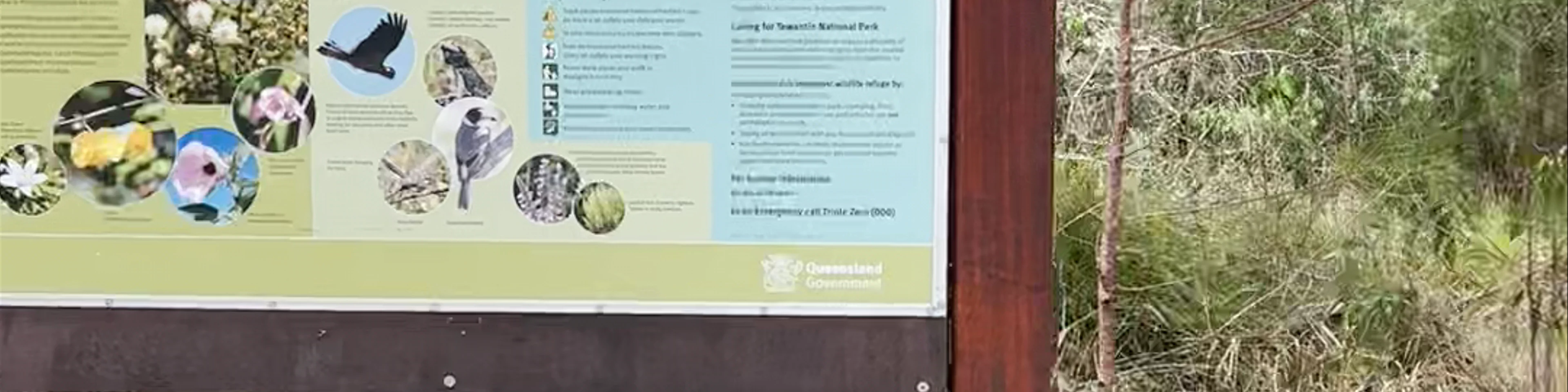 Mount Tinbeerwah Lookout