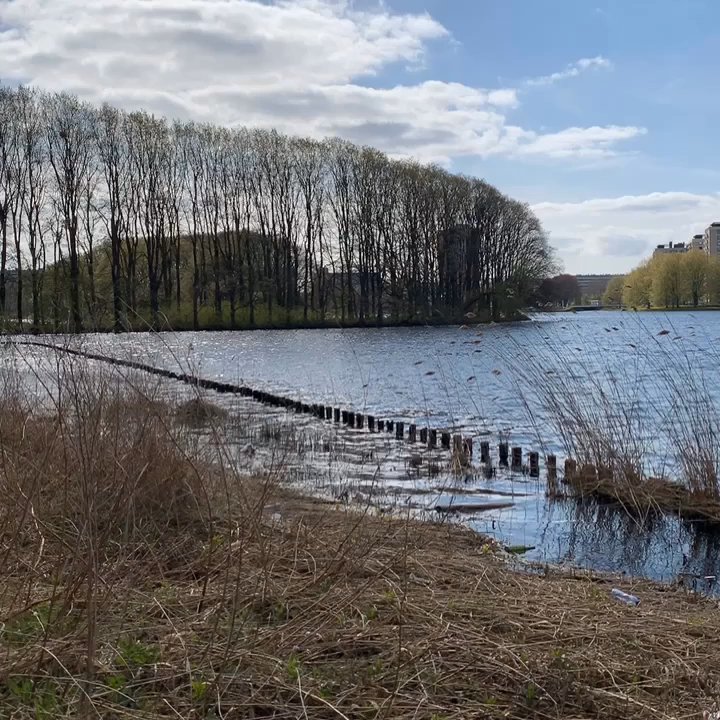 Sloterparkbad - Swimming Pools Near Me - Amsterdam, New Hampshire