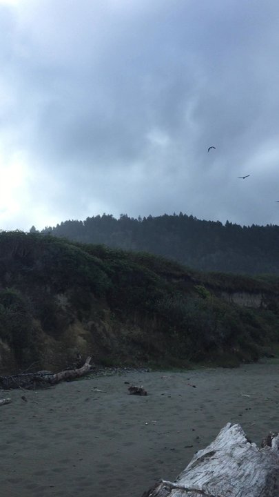 Crescent Beach - Smooth Sailing - Beaches Near Me