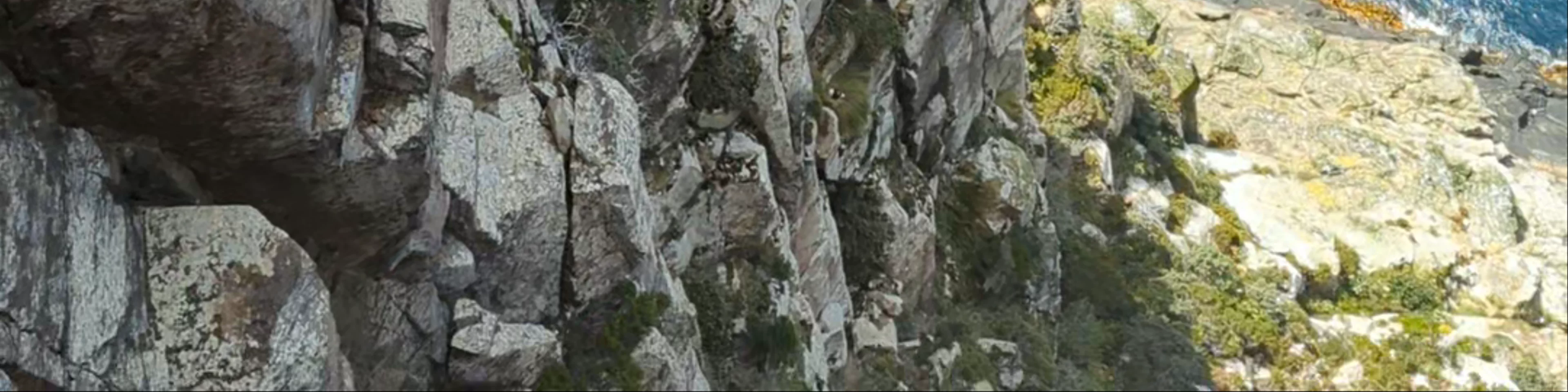 Cape Hauy