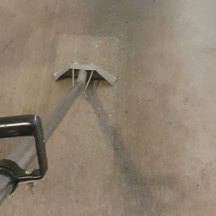 Pure Quality Services - Carpet Cleaning Near Me