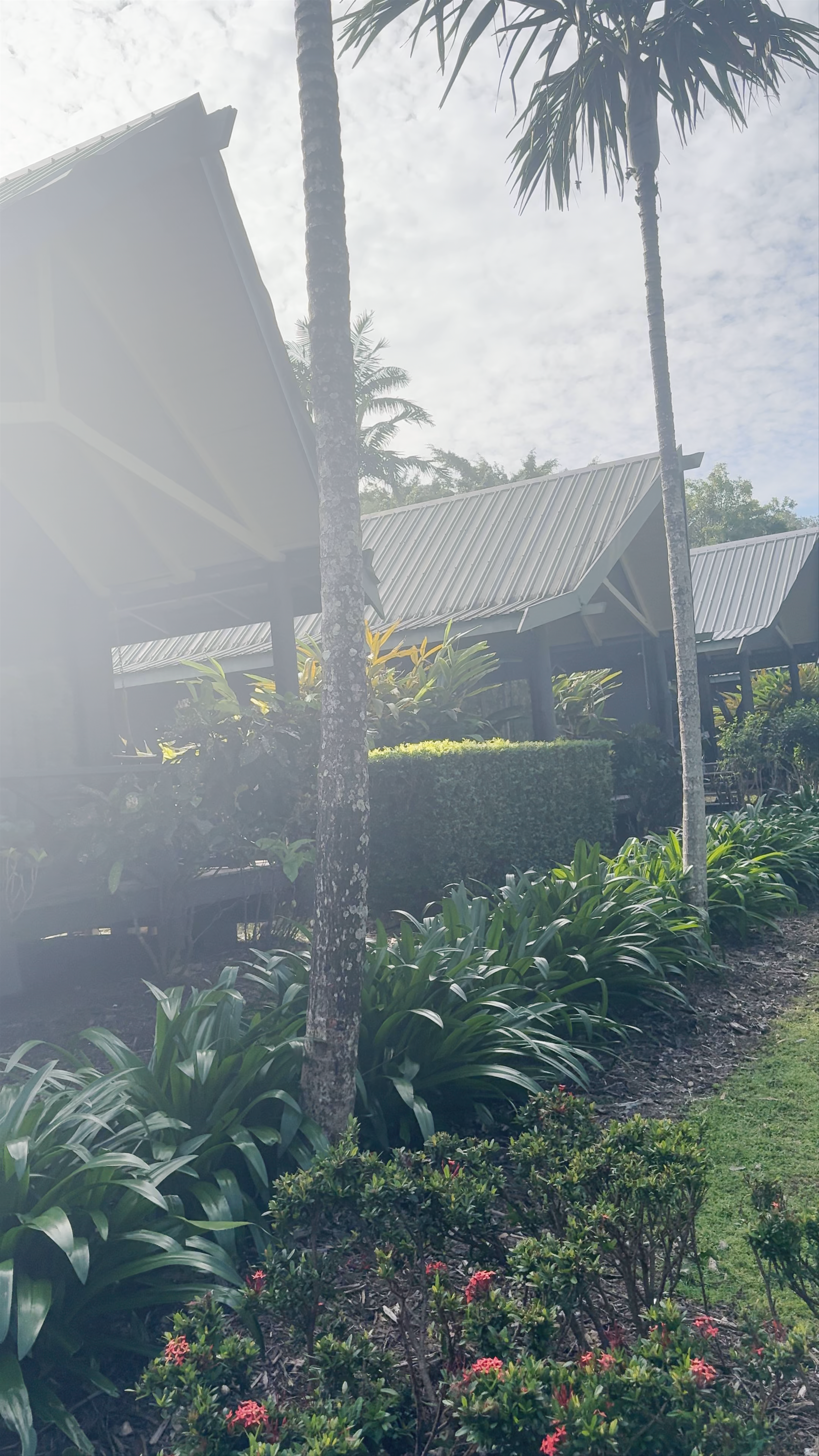 Palm Bungalows
