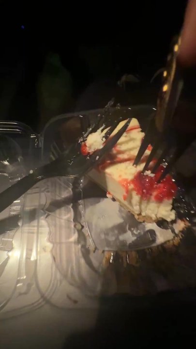 Dessert Lab Addison - MY CHEESE CAKE WAS FROZEN - Desserts Near Me - Dallas, Texas