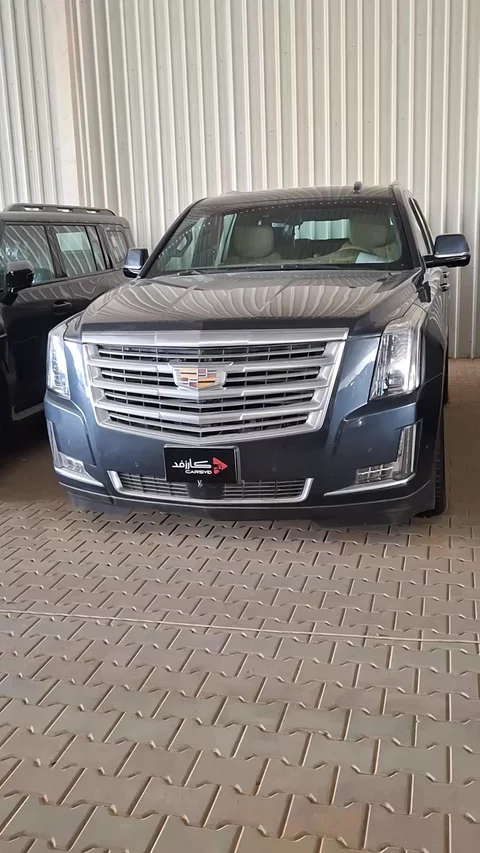 كاديلاك اسكاليد Premium Luxury Platinum 2019