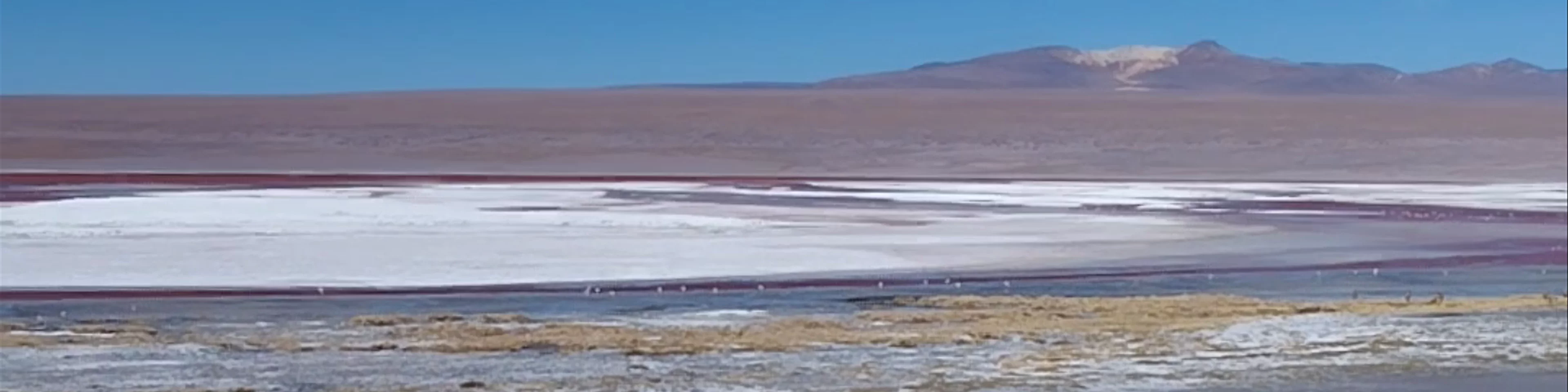 Laguna Colorada