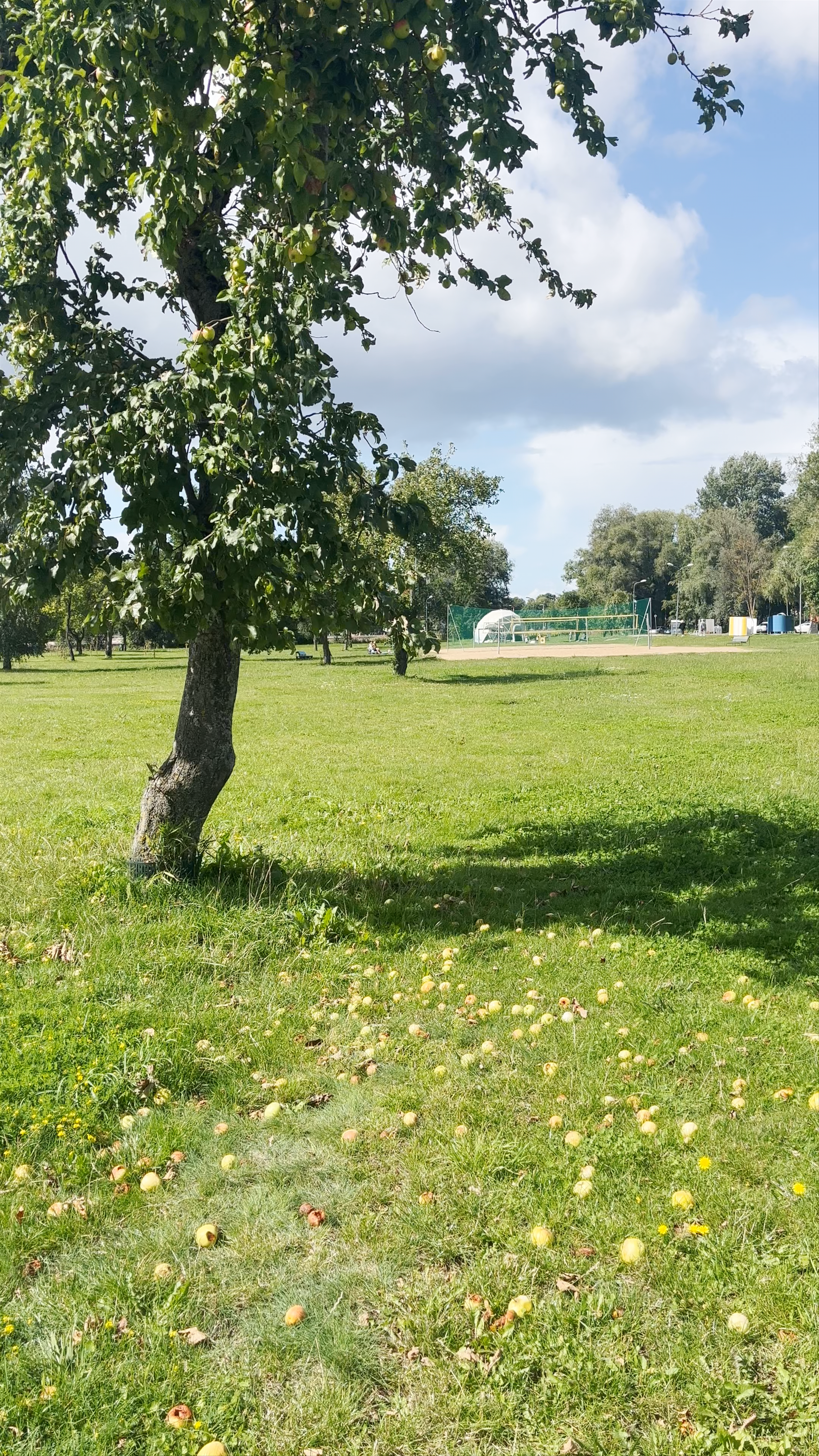 Lucavsala Recreation Park: A Sunny Escape in Riga's Green Heart
