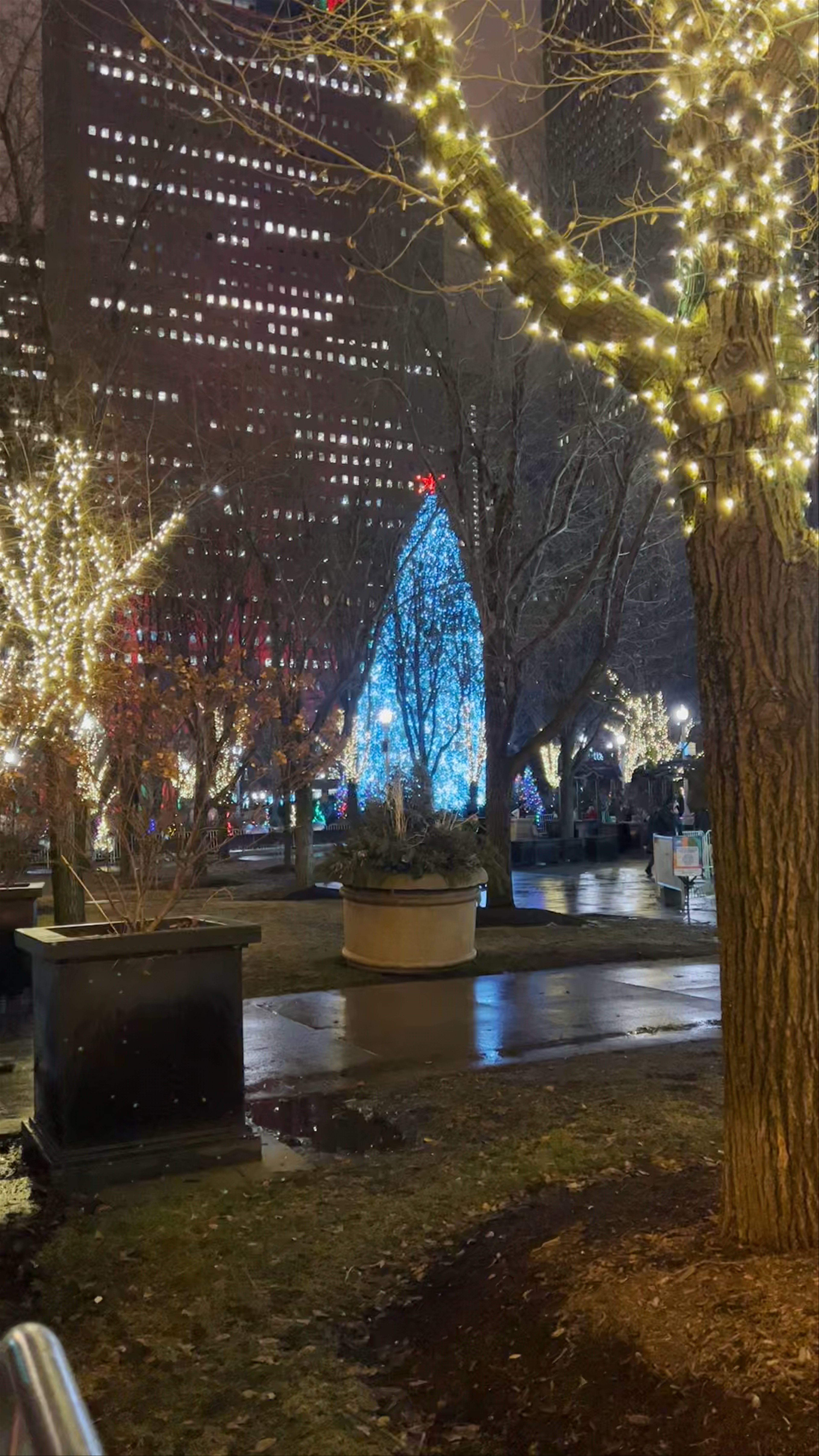 The Bean