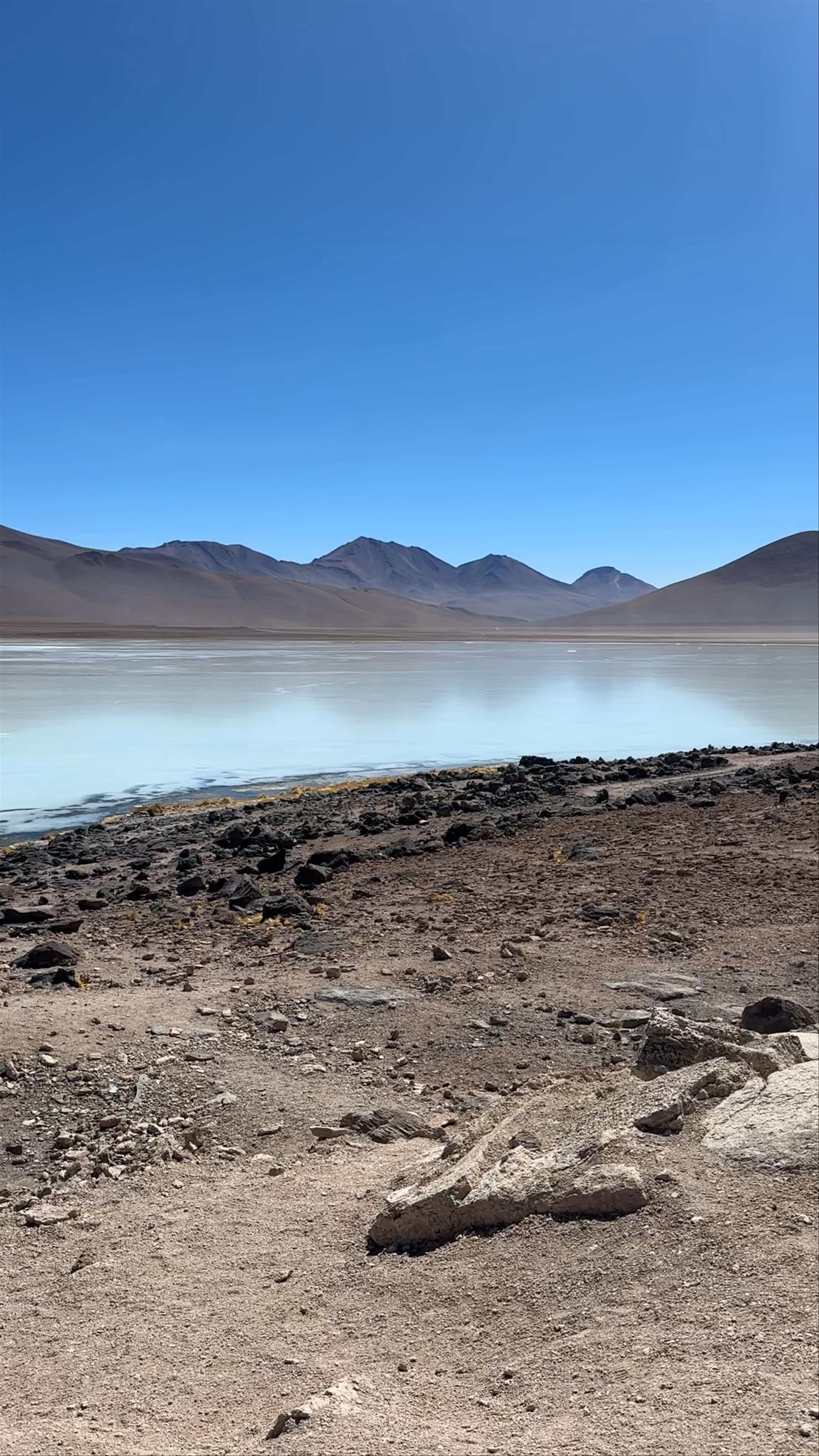 Laguna Blanca: Serene High-Altitude Escape in Bolivia