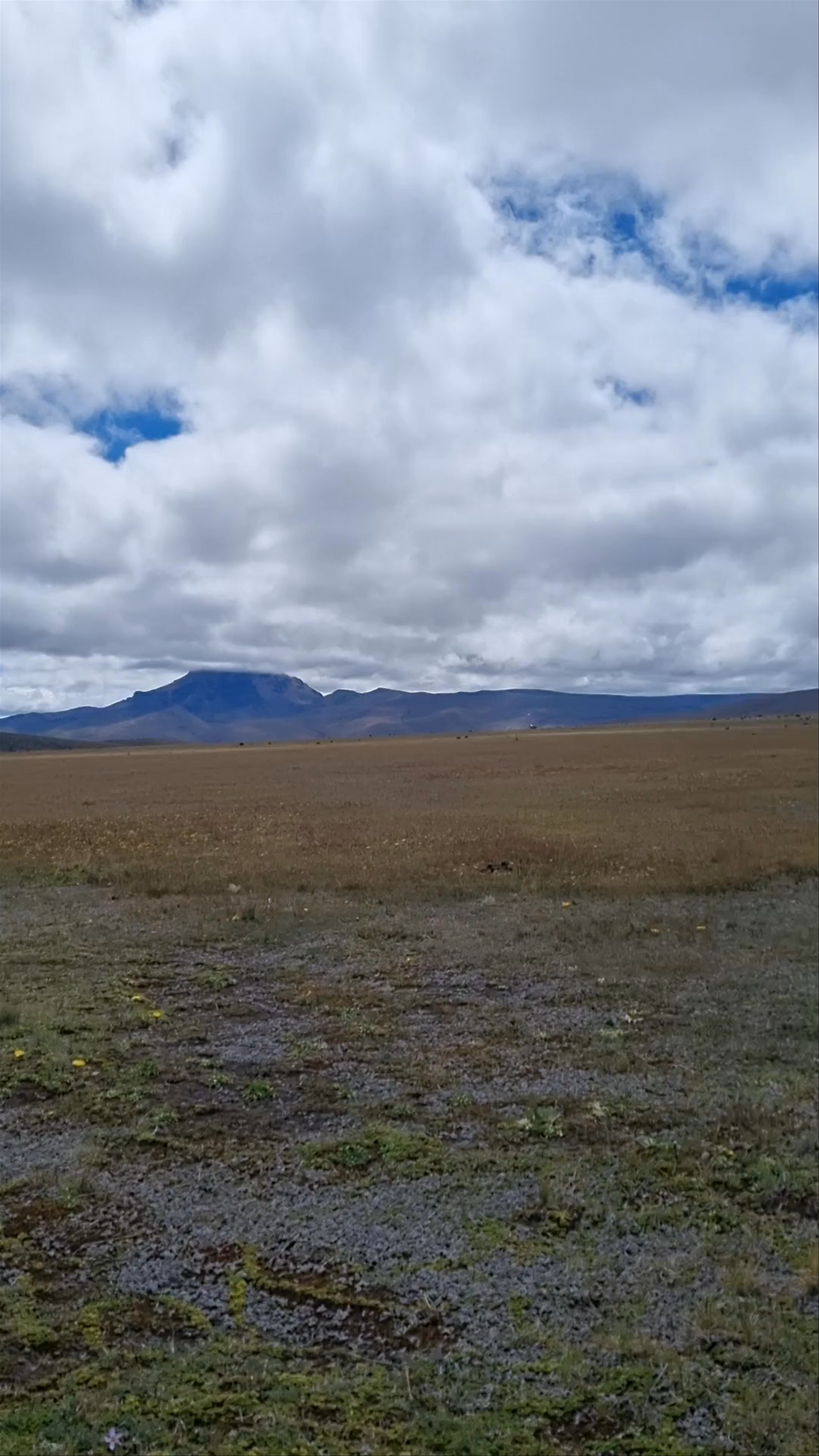 Cotopaxi National Park