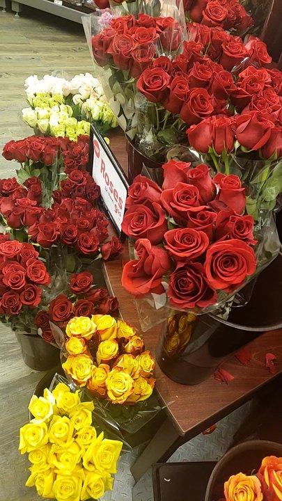 Safeway - $9.99 roses. Gorgeous! - Grocery Near Me - Springfield, Oregon