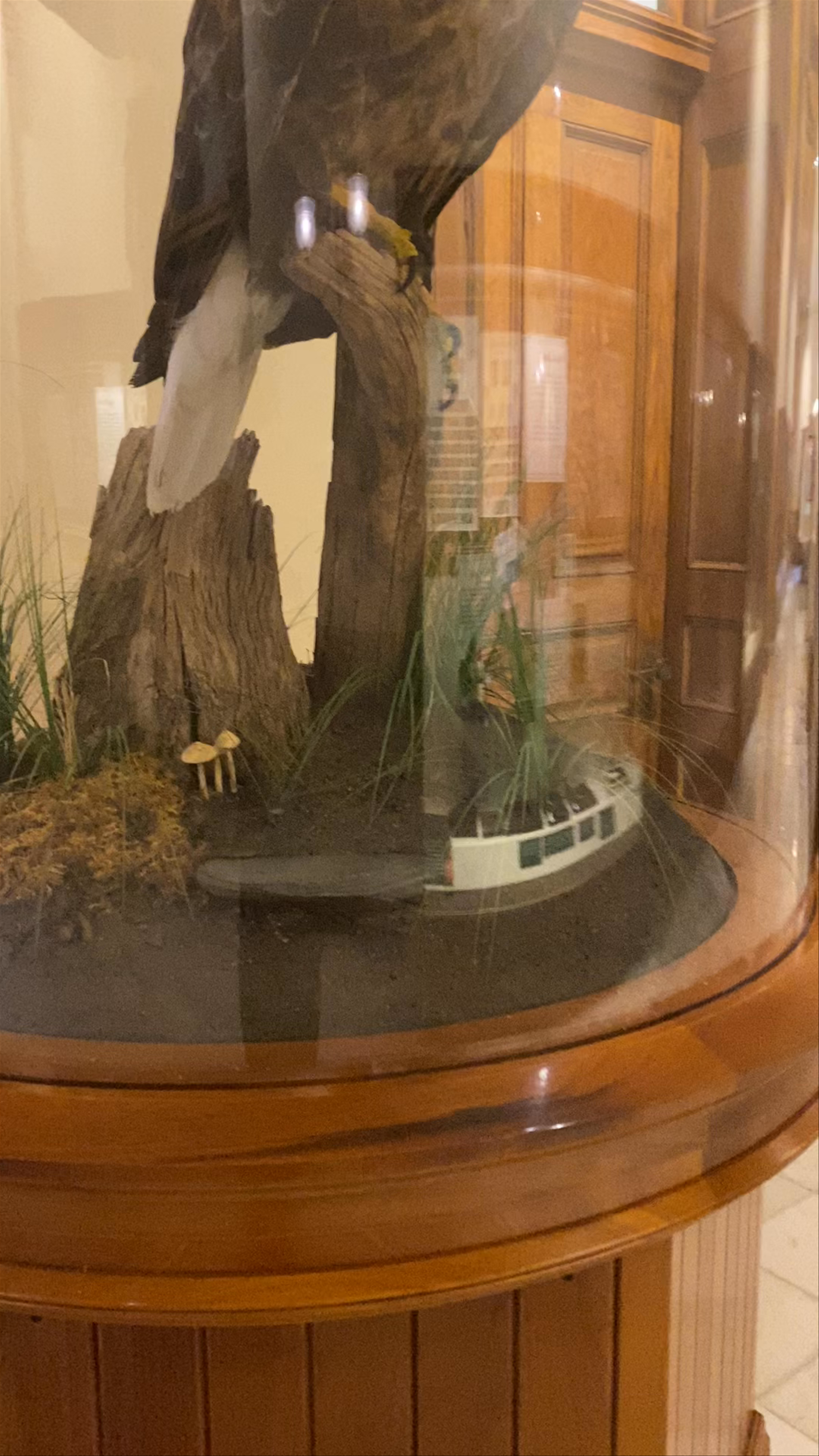 Georgia Capitol Museum