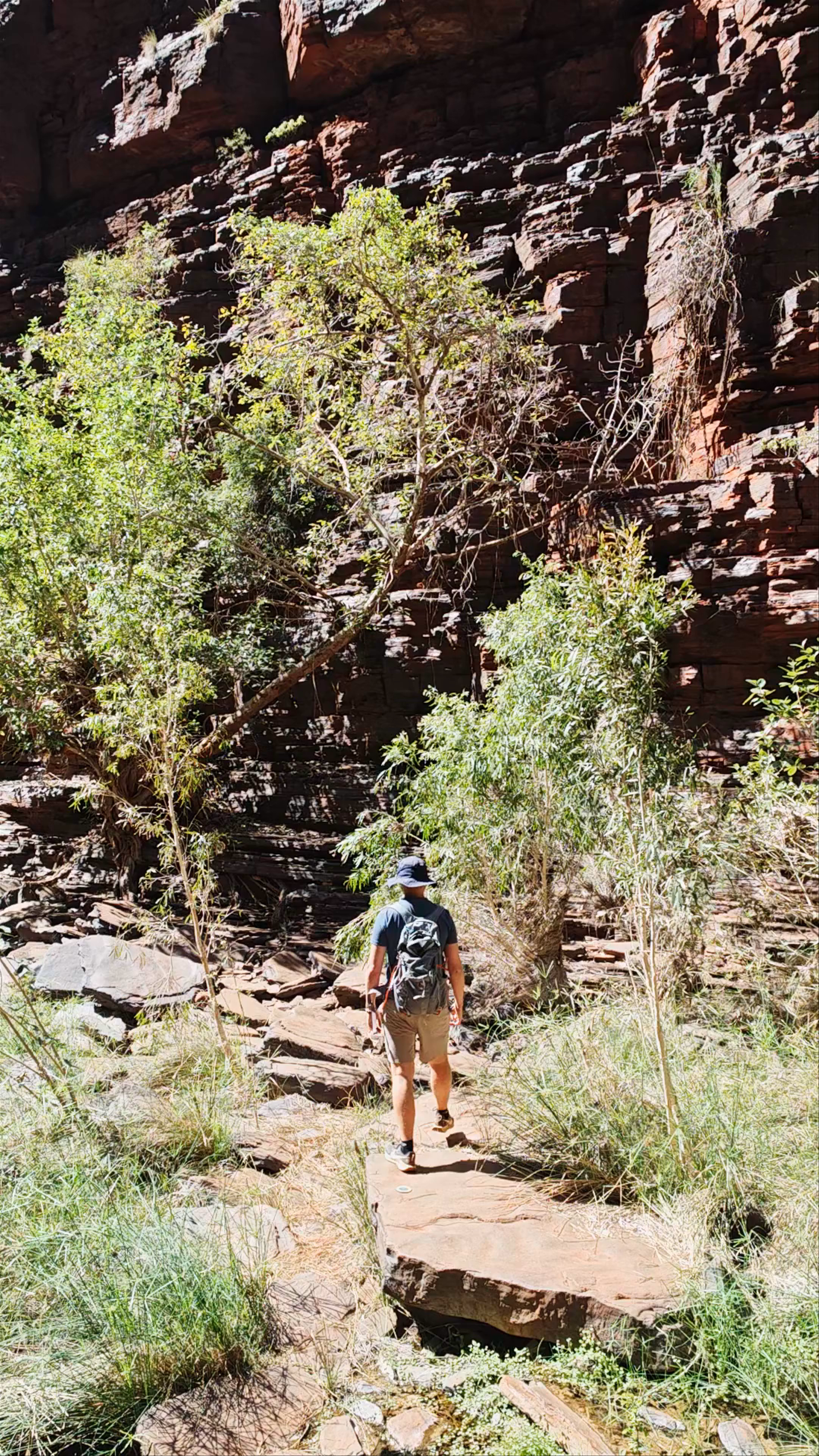 Knox Gorge