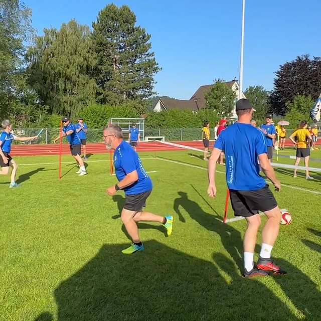 SVD Diepoldsau-Schmitter