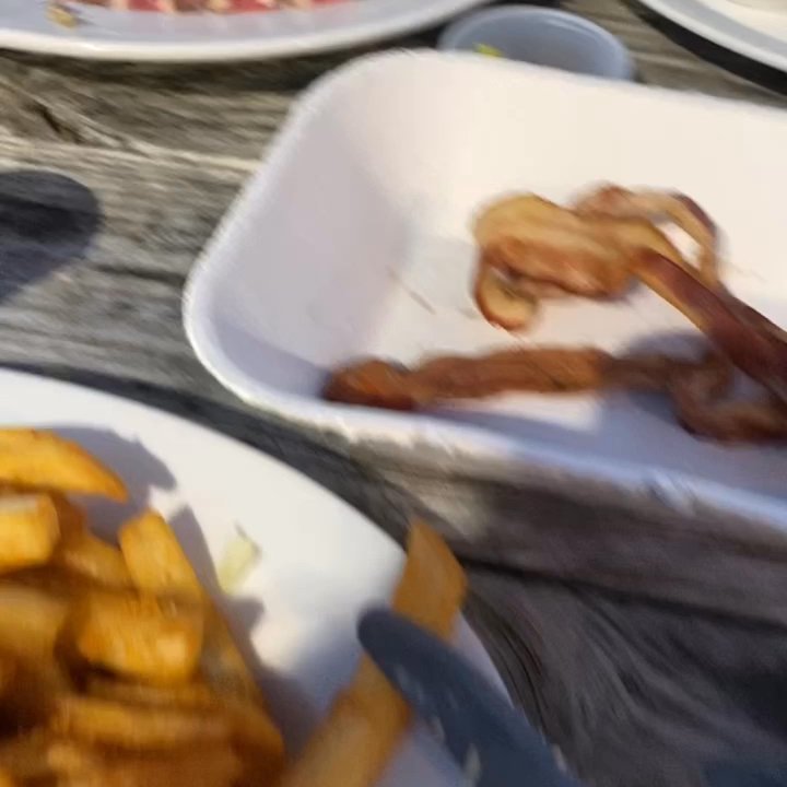 Lures Riverfront Restaurant - The pugs enjoying their side of bacon! - Bars Near Me - Jensen  Beach, Florida