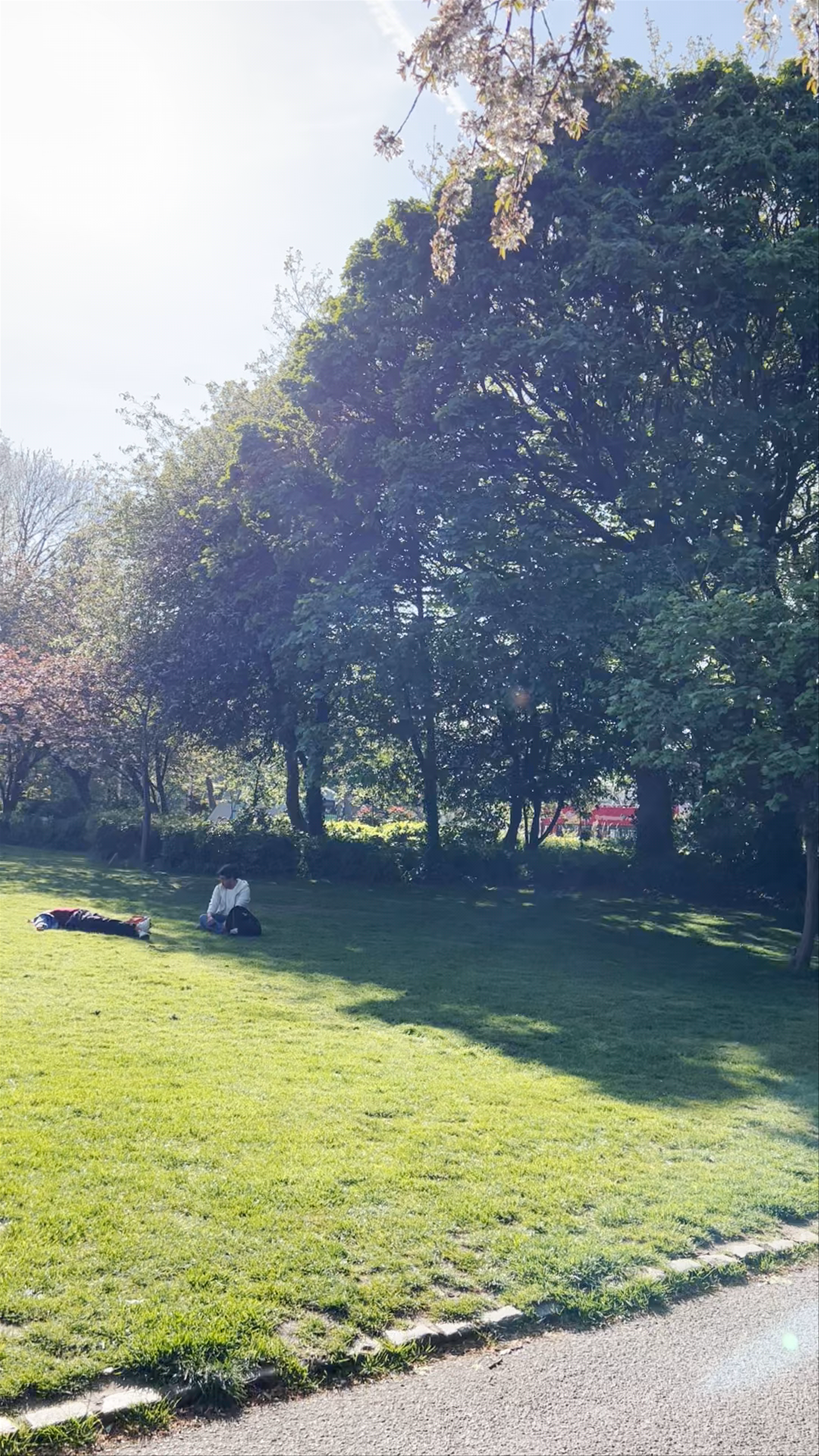 Merrion Square