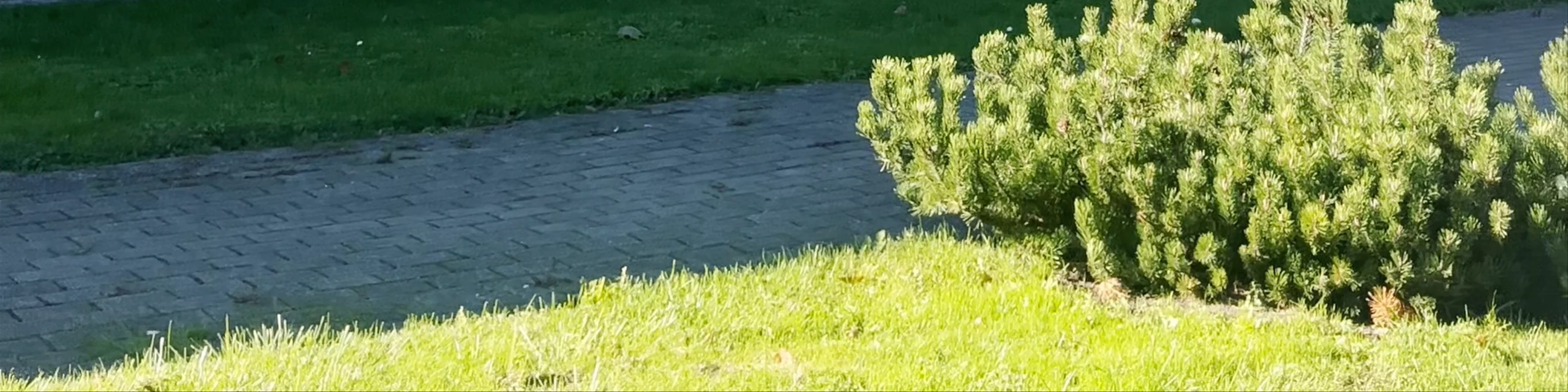Kairiu Svc. Mergeles Marijos belaisviu vaduotojos baznycia