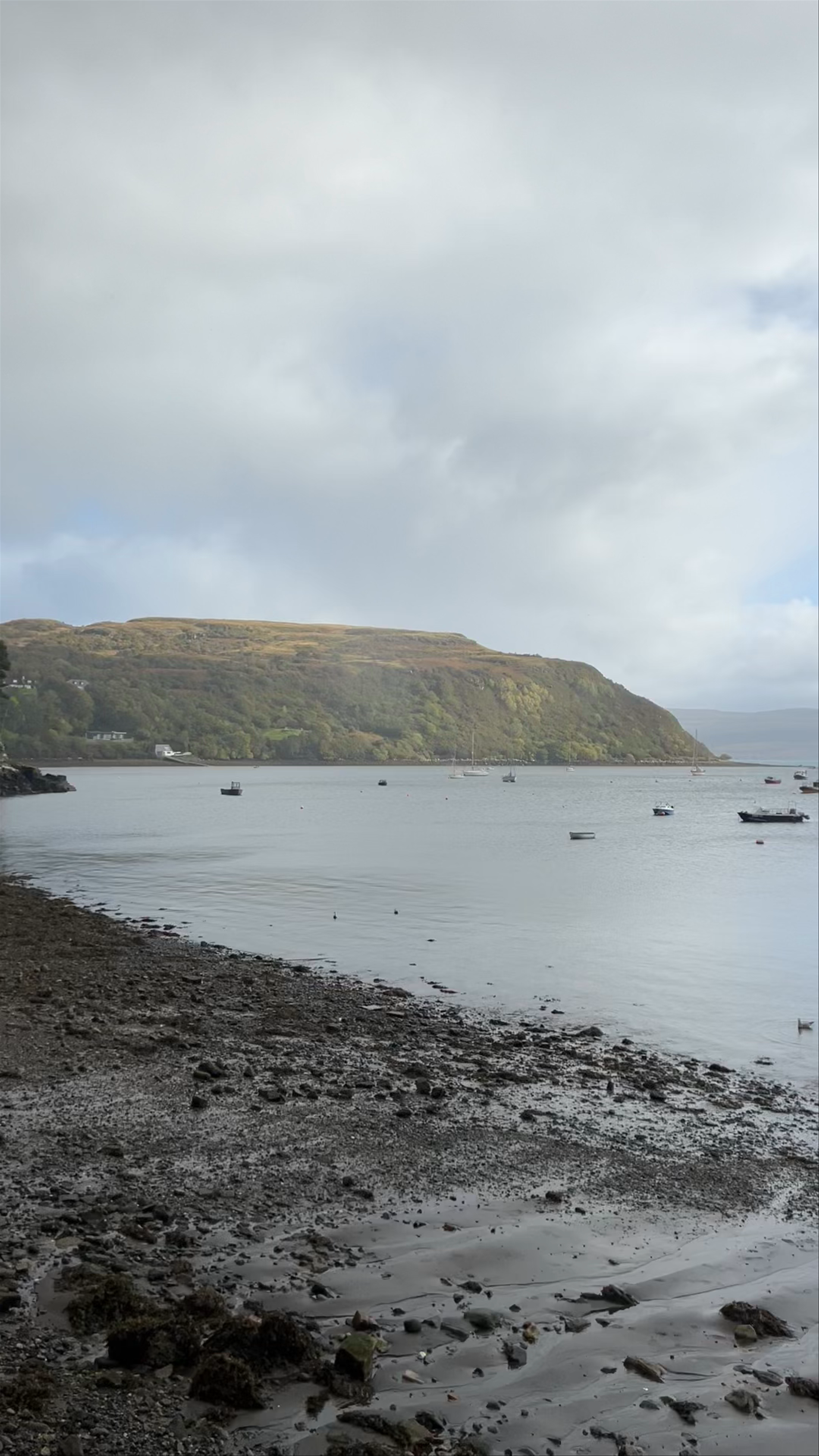 Colour House Viewpoint