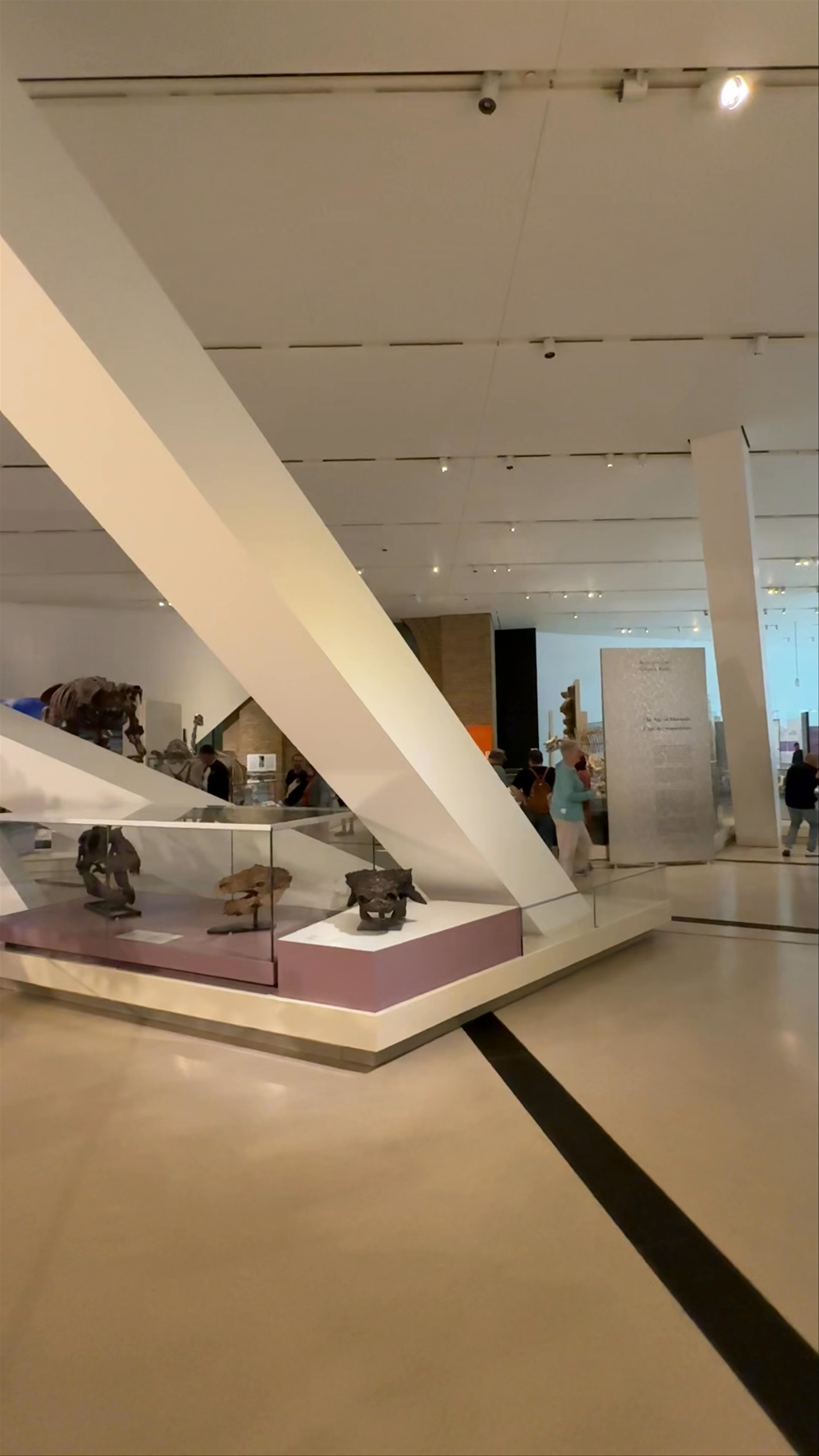 Royal Ontario Museum