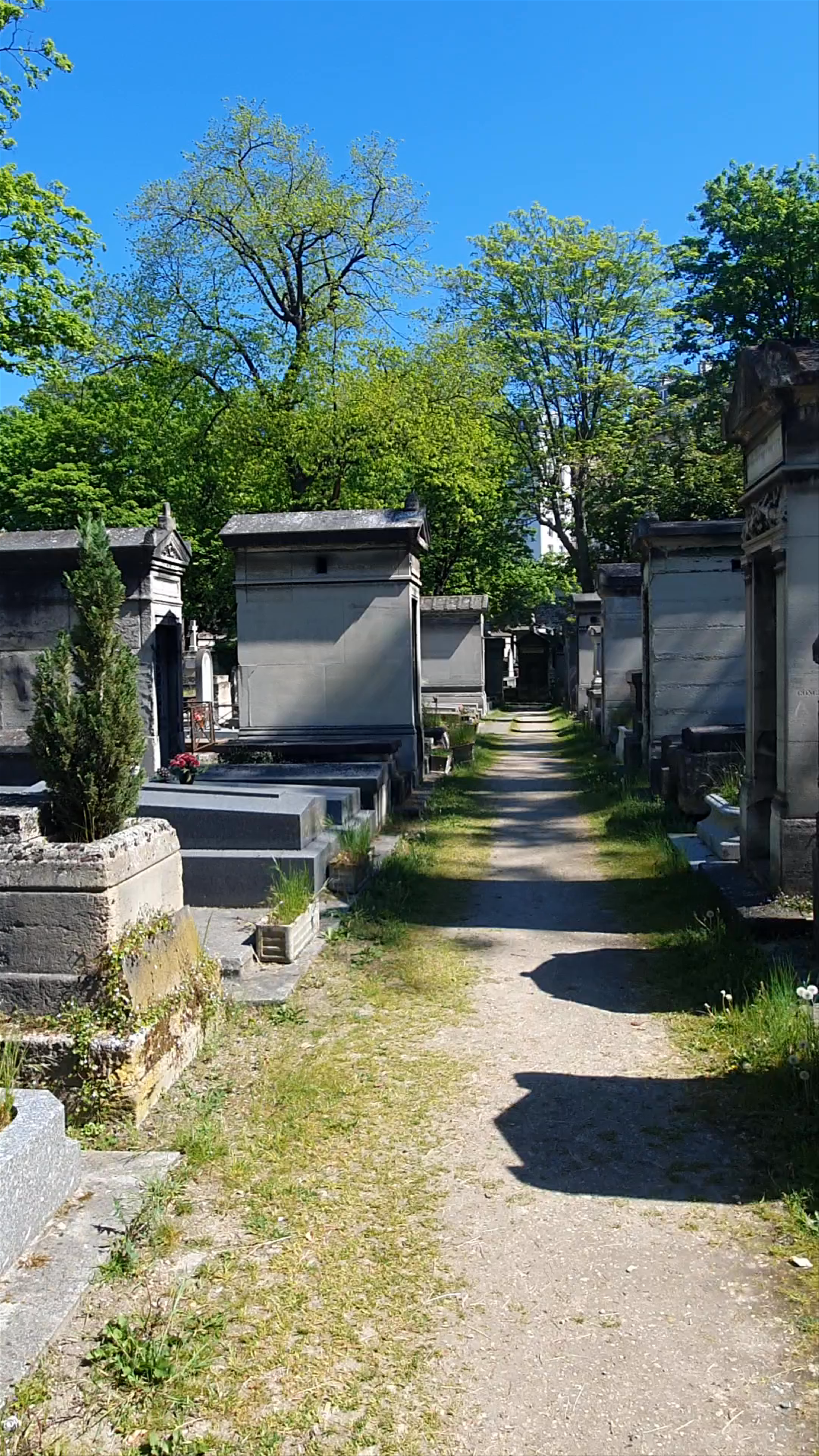 Montparnasse Cemetery