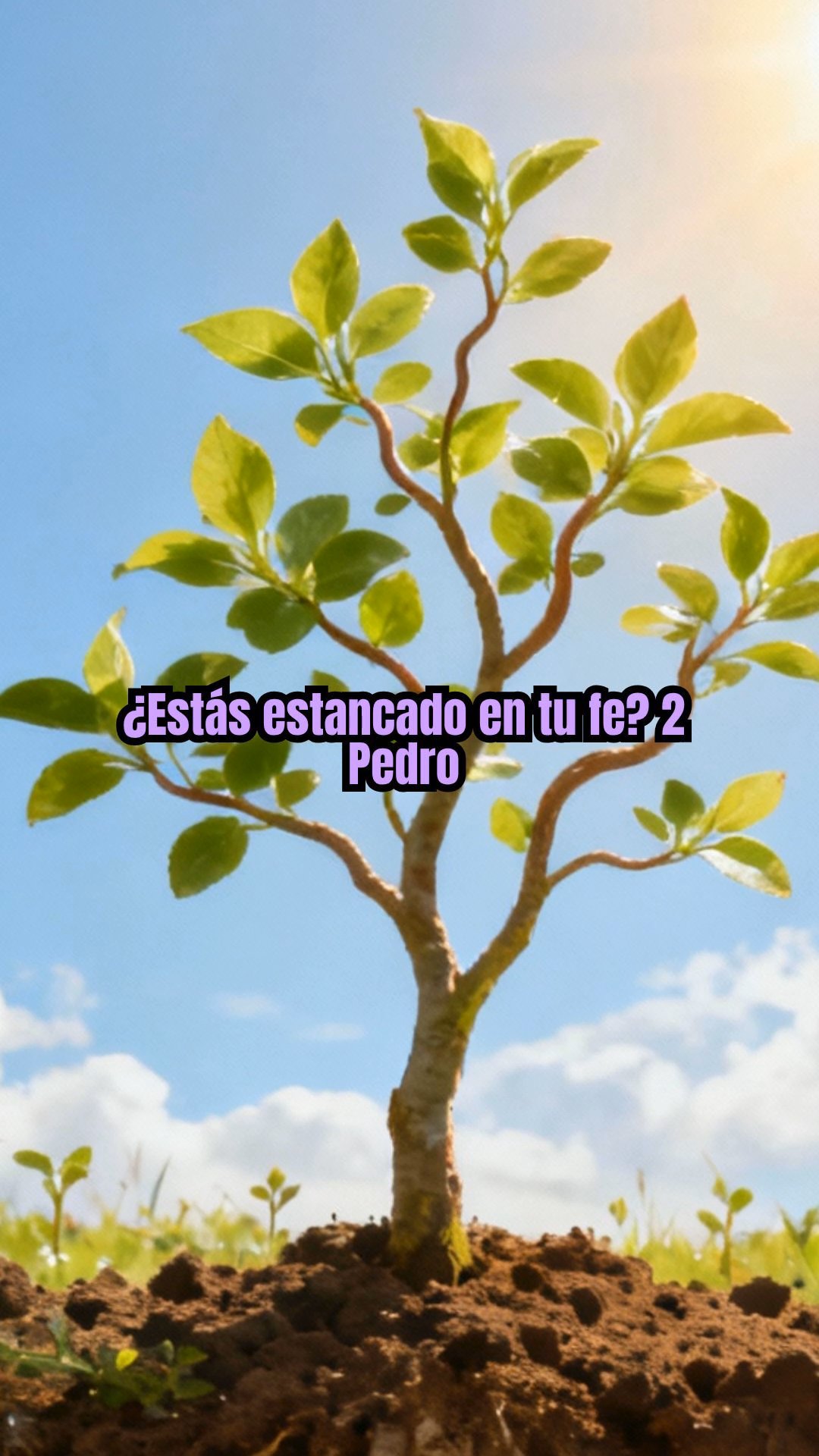 Crecimiento en la Gracia: 2 Pedro 3:18 y Madurez Cristiana