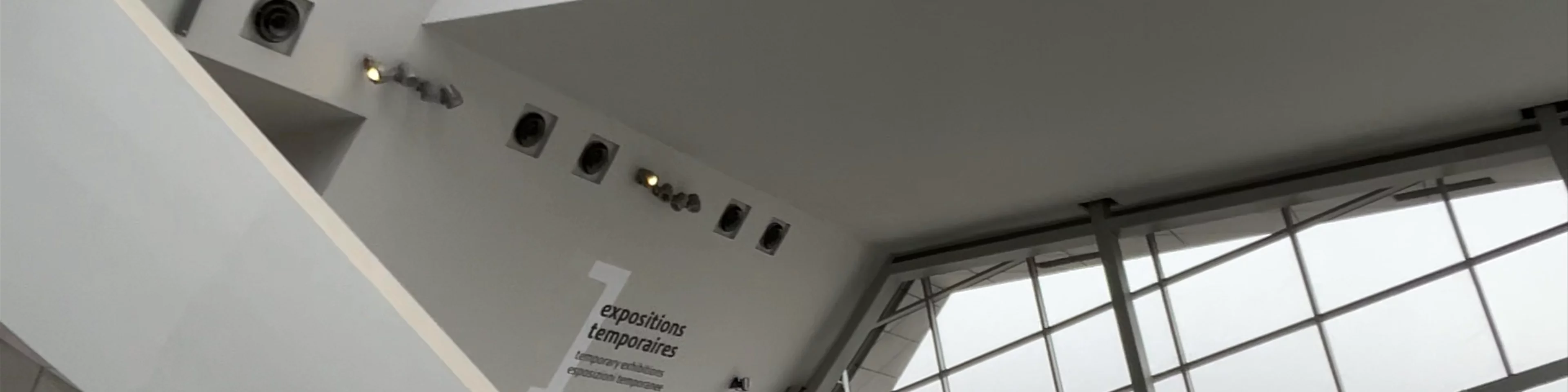 Musée des Confluences