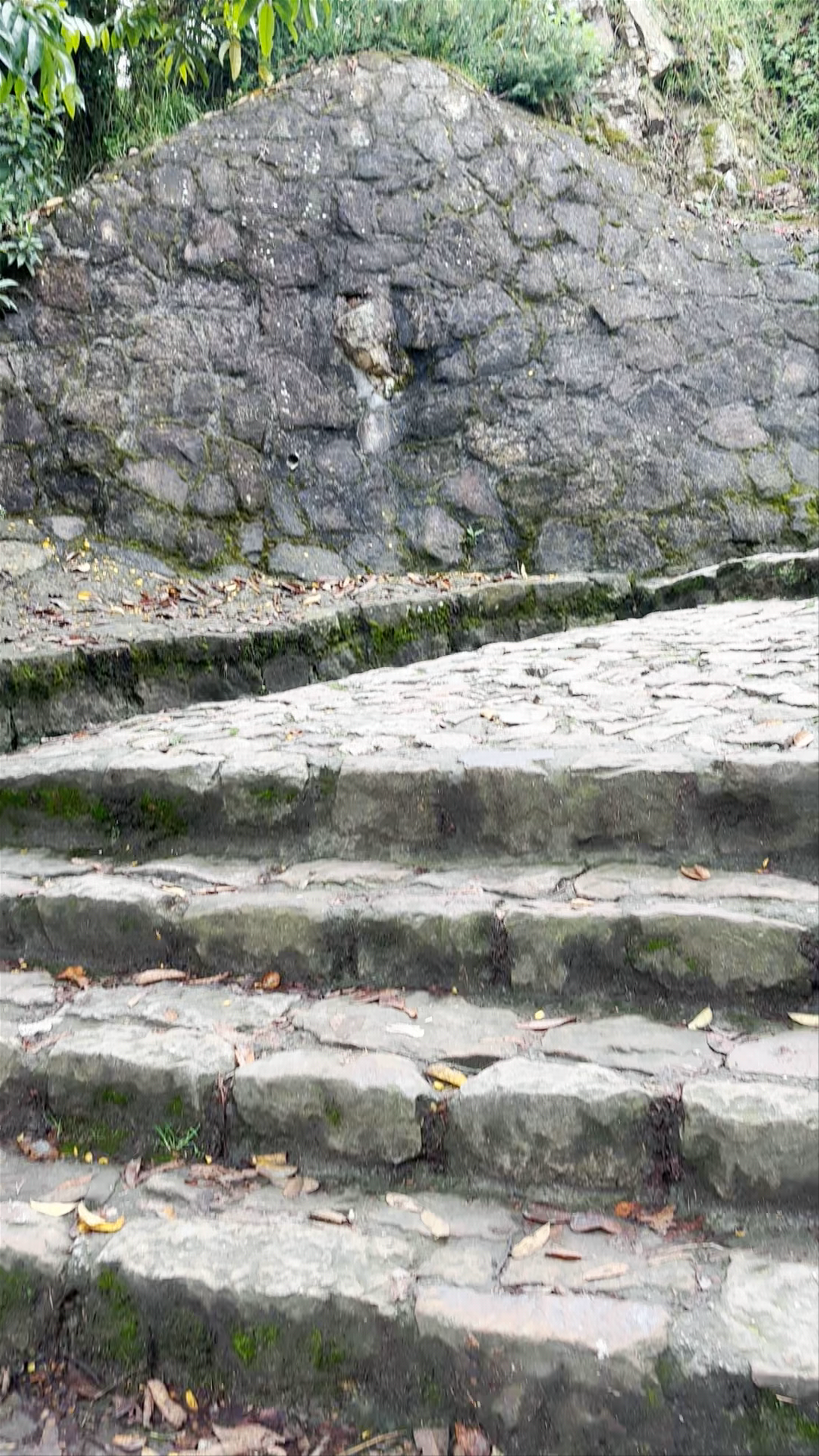 Mirador Cerro de Monserrate