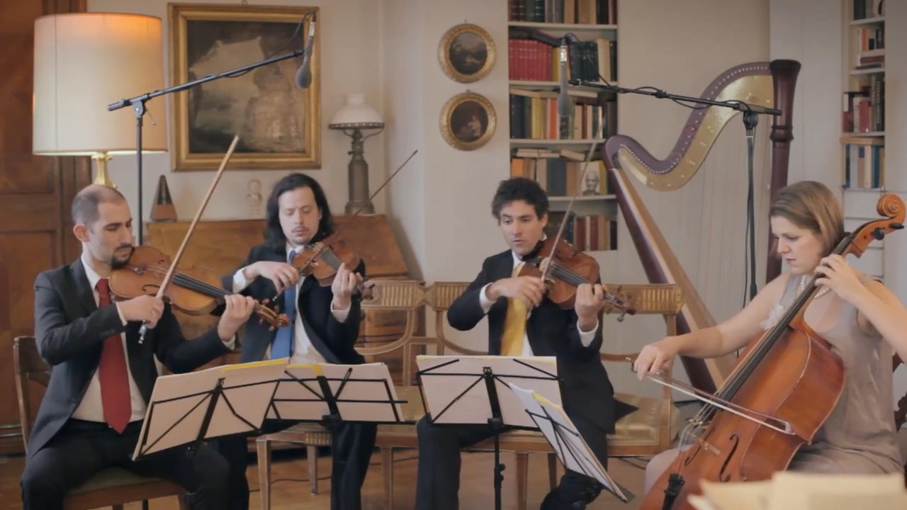 The Milan String Group - Live Showreel 2025 - video