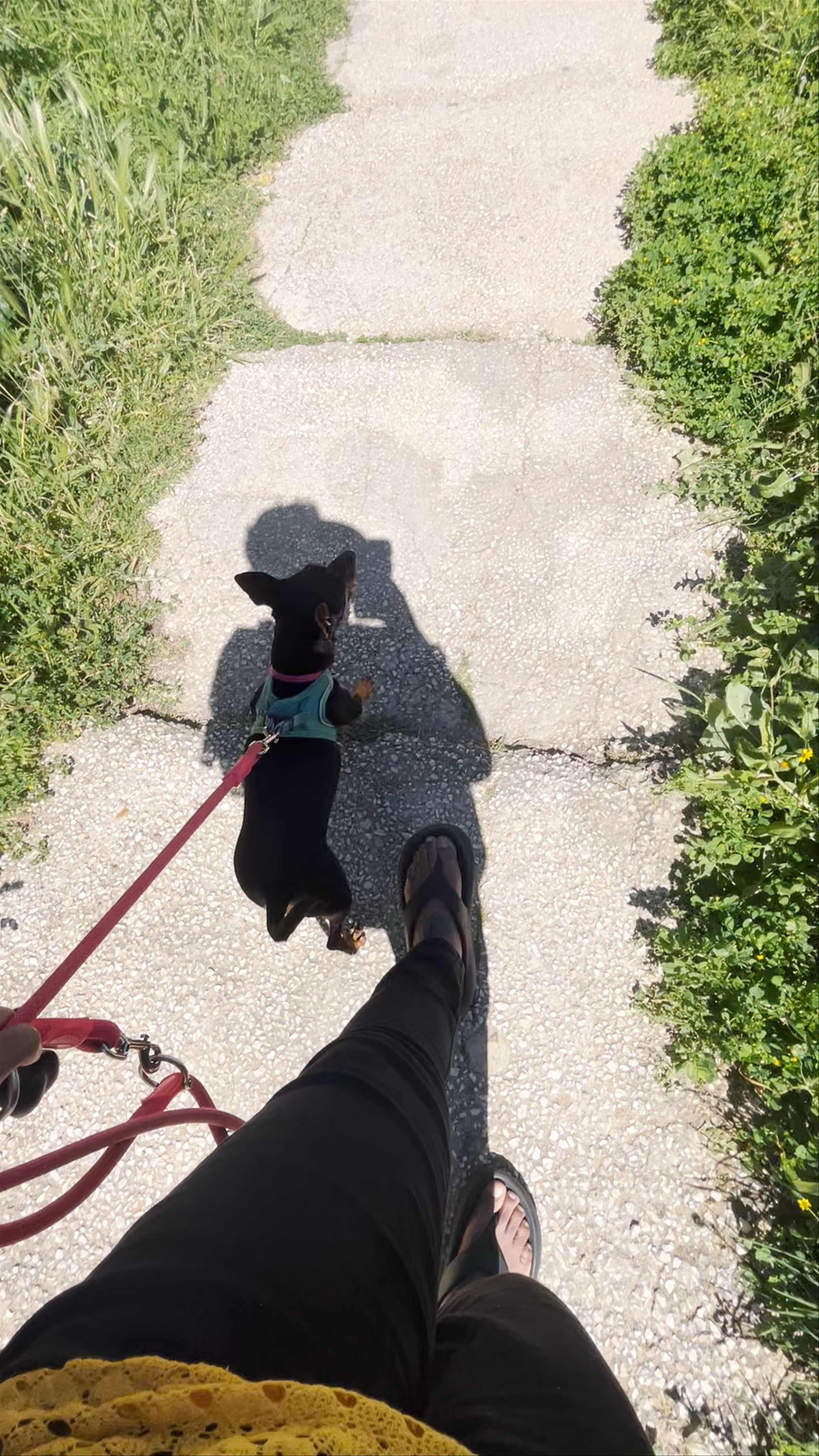Passadiços da Ponta da Piedade