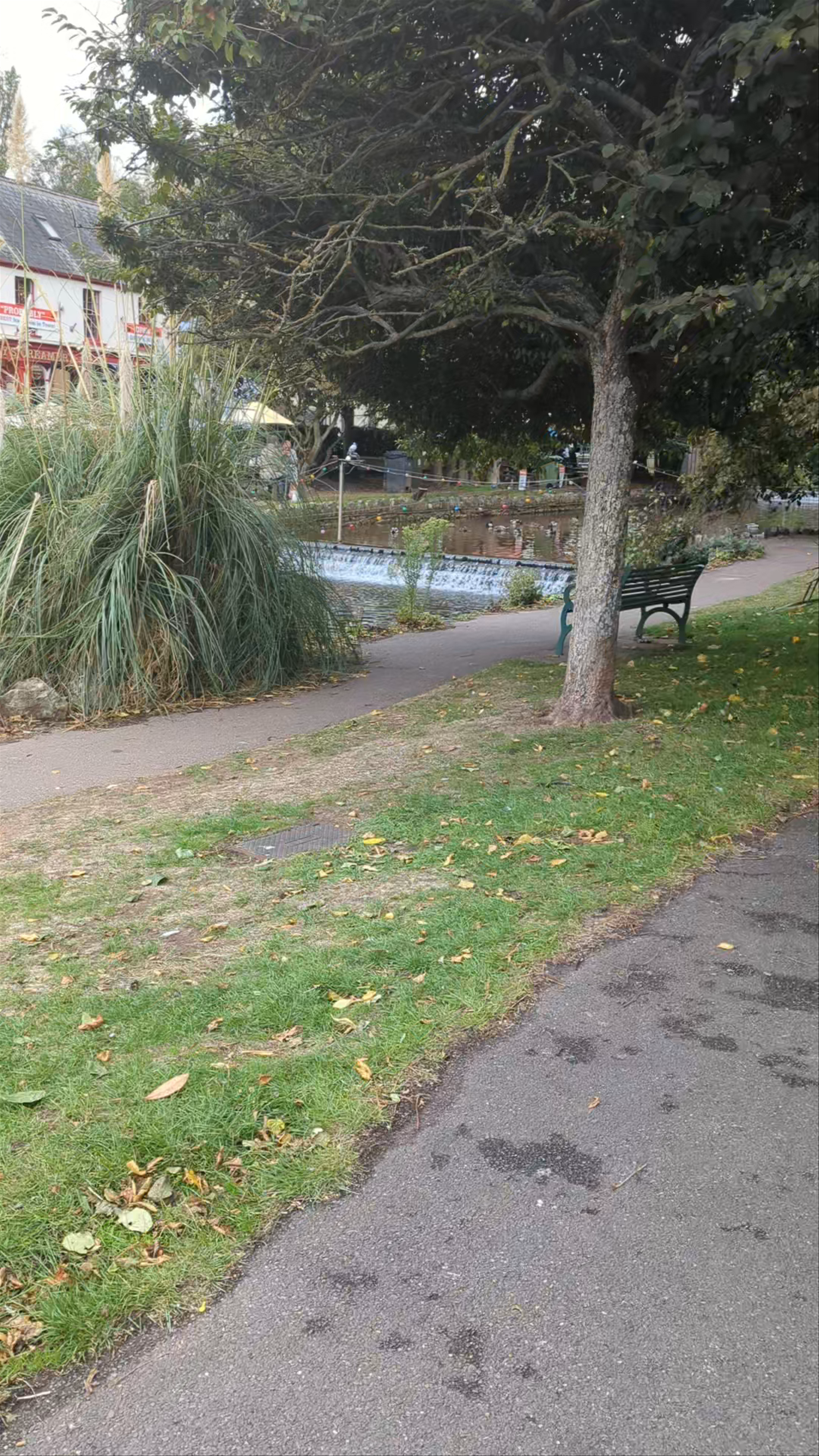 Strolling Dawlish Lawn and Canal: Serene English Garden Escape