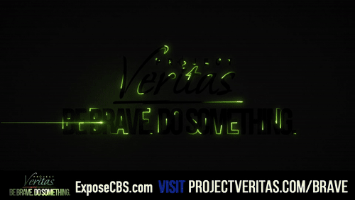 Video Thumbnail Loop