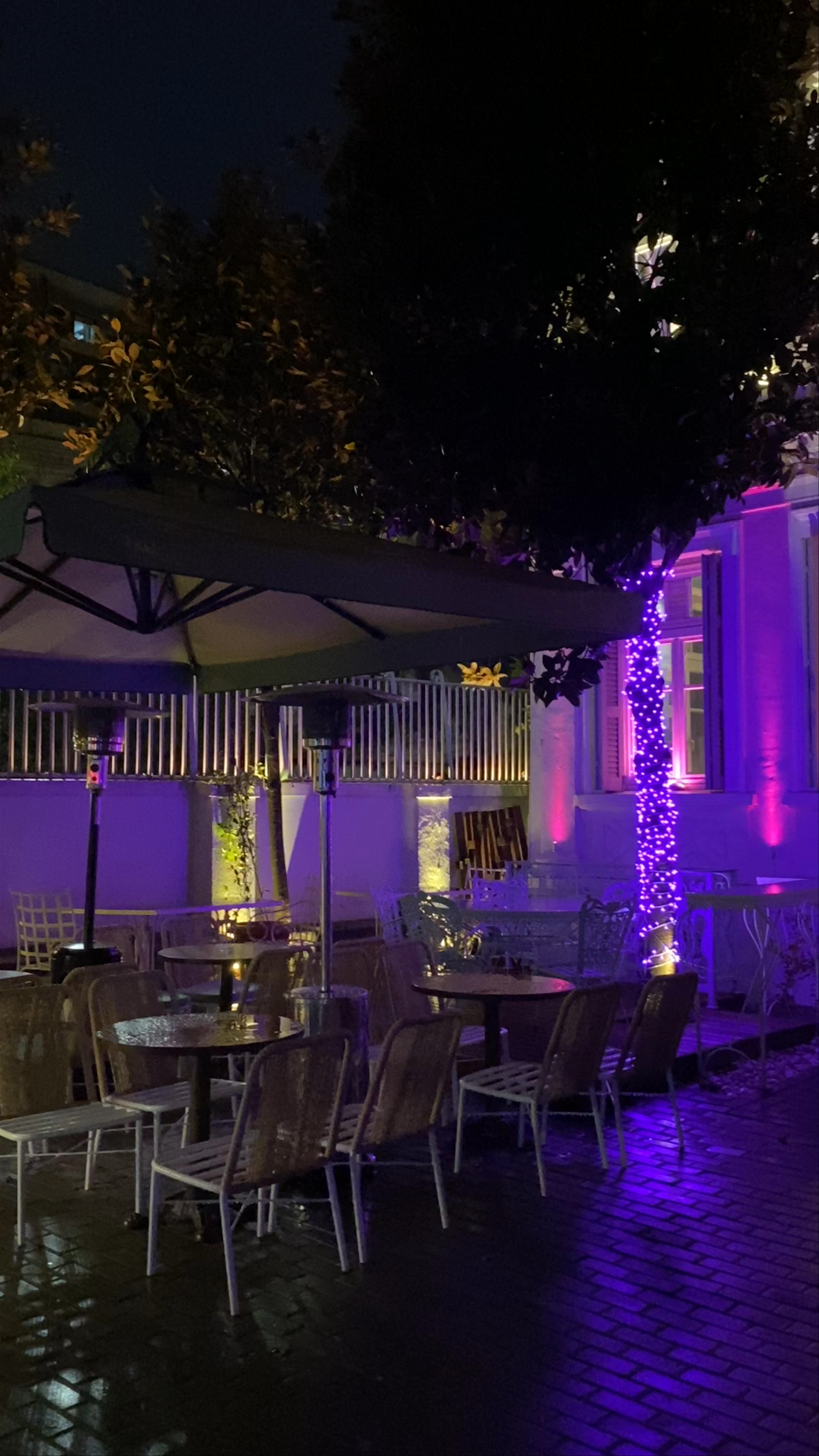 Casablanca Social Club