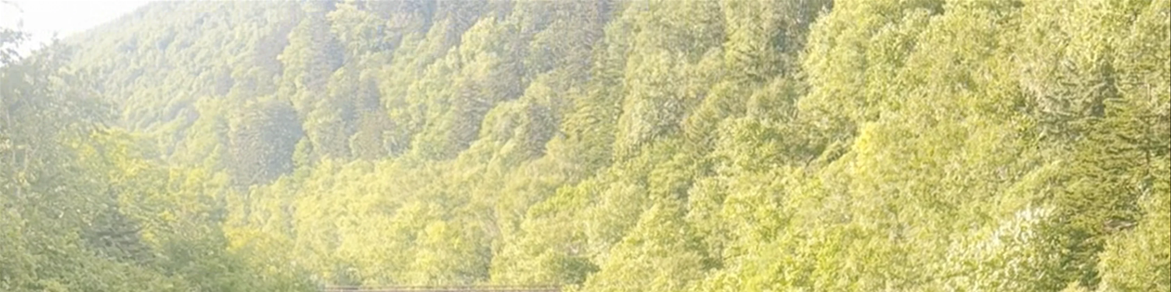 Shirahige Waterfall