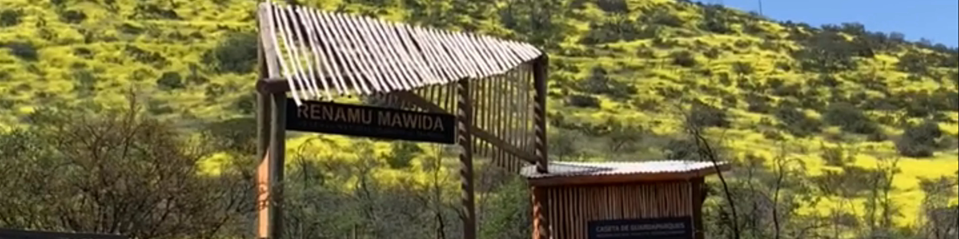 Parque Mahuida - Avenida Alcalde Fernando Castillo Velasco