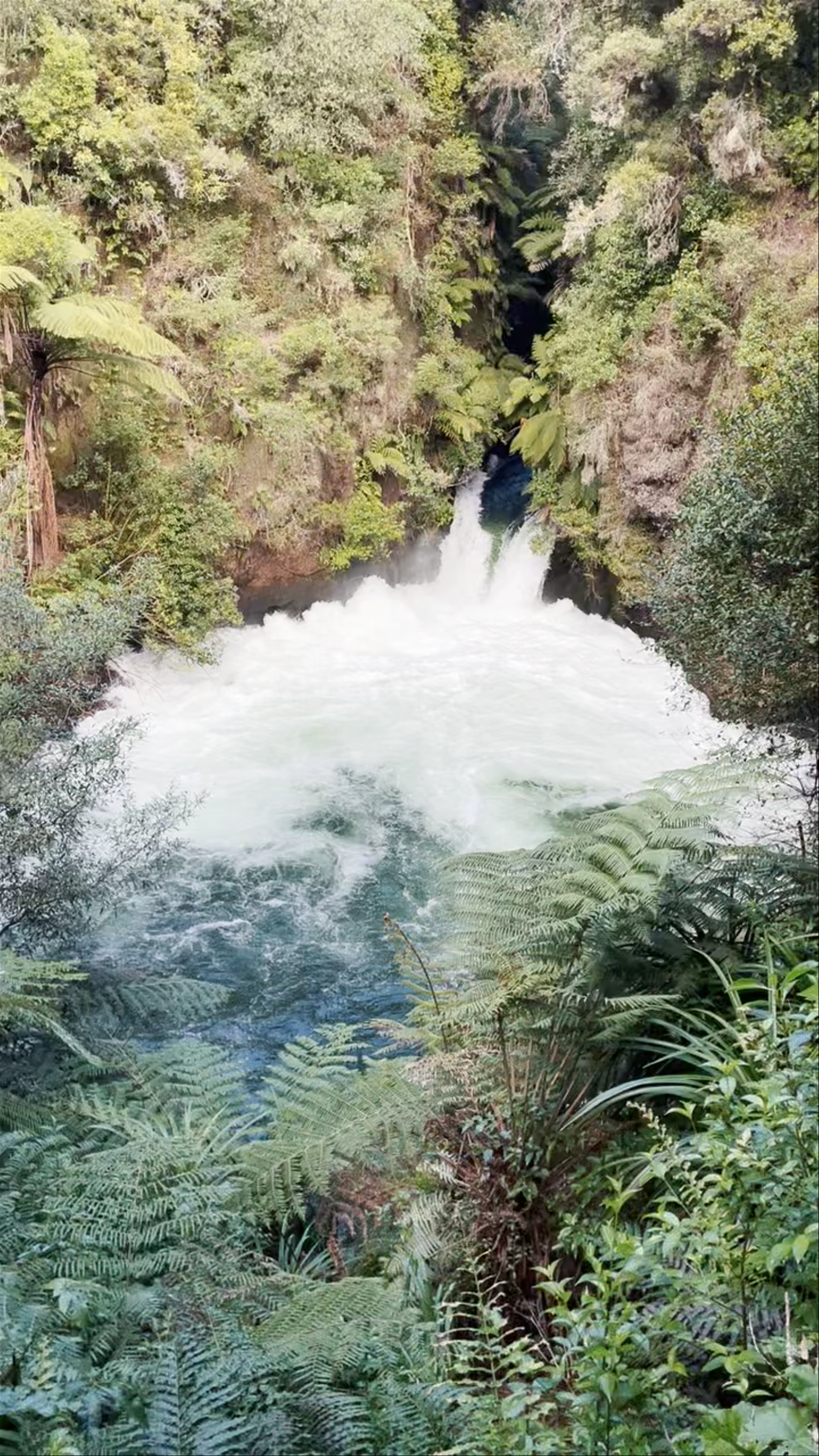 Okere Falls Scenic Reserve Parking Okere Falls Road