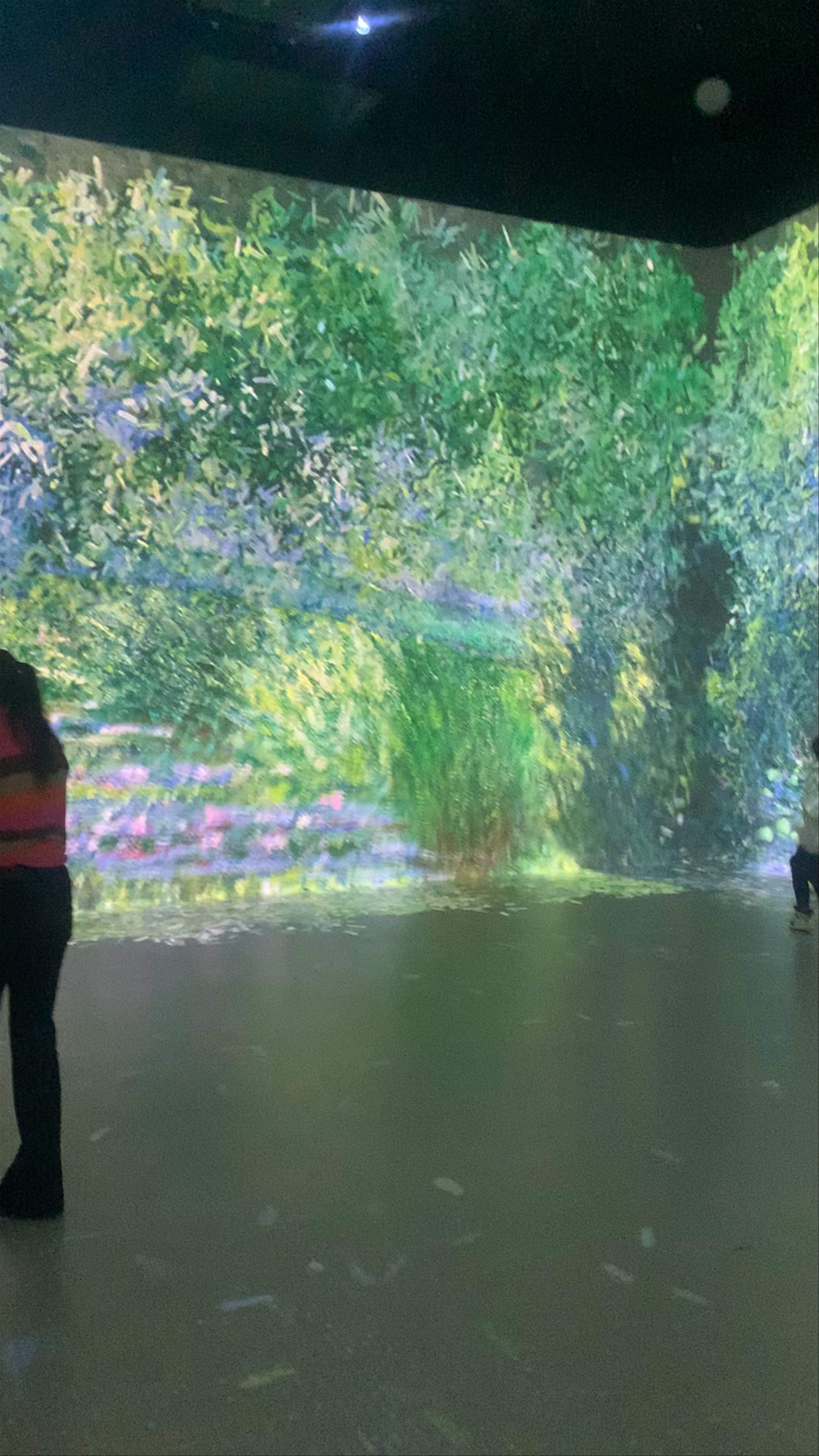 Frameless Immersive Art Experience