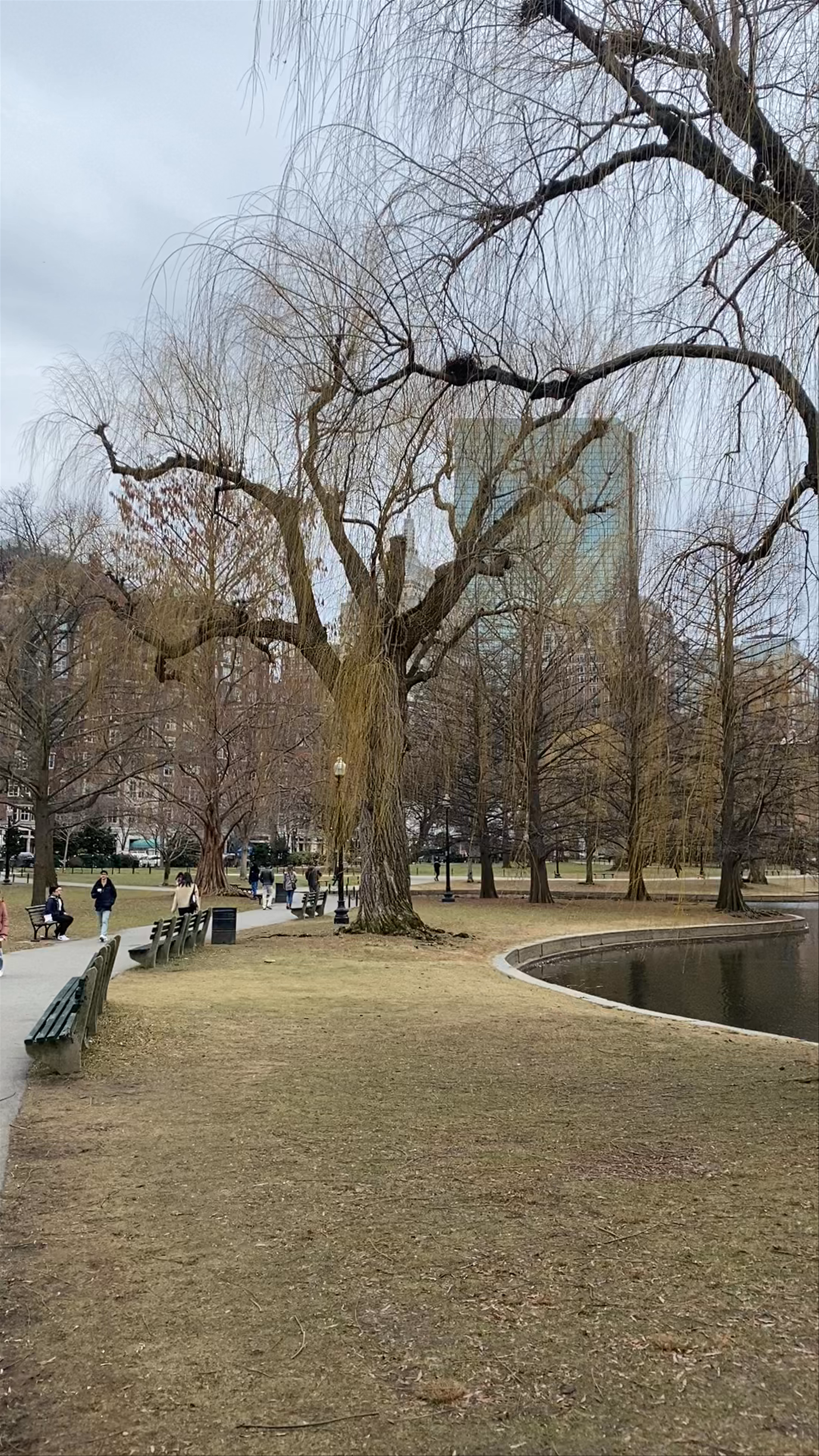 Public Garden