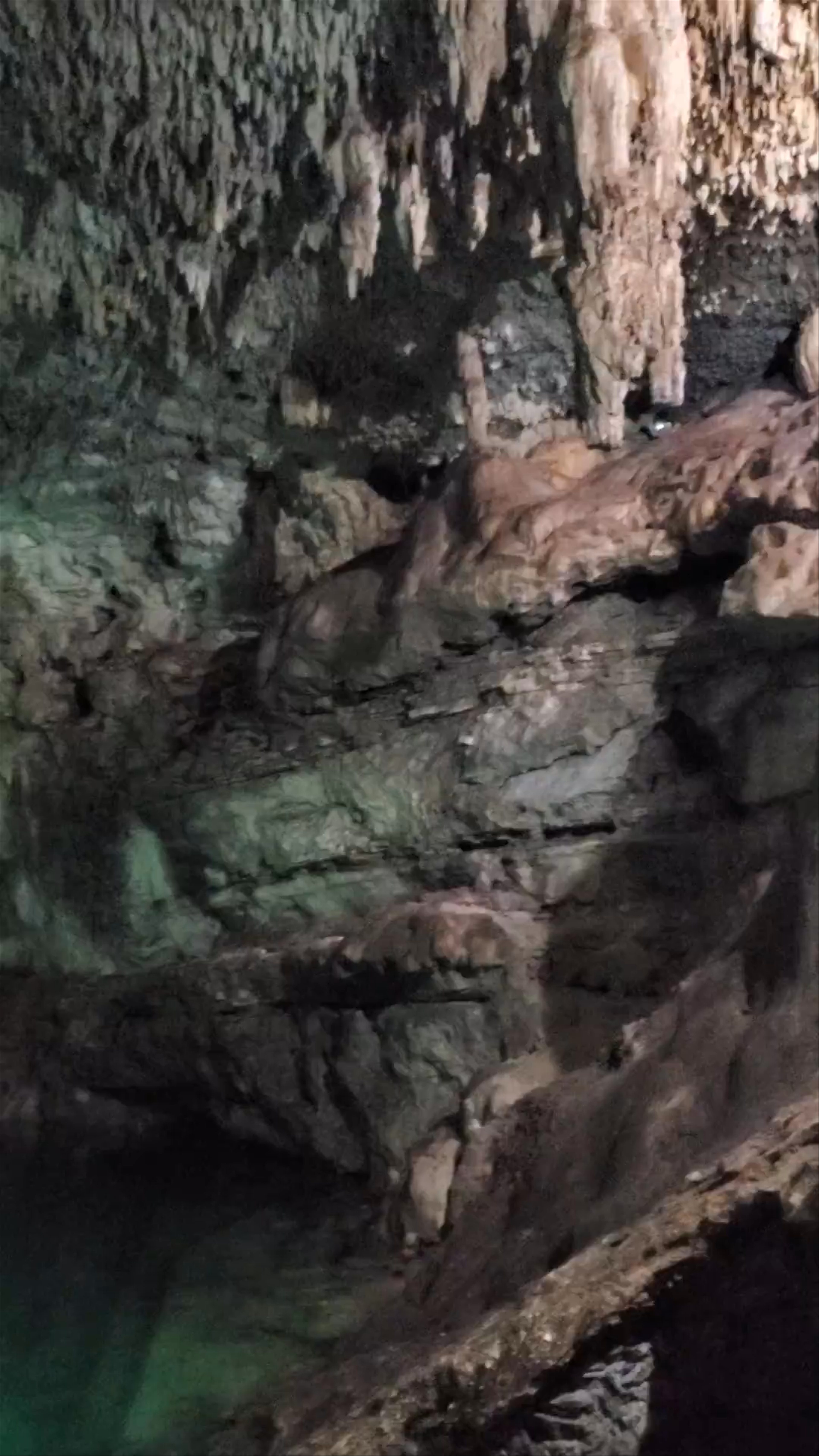 Cenote Suytun: Magical Swimming in Valladolid's Hidden Gem