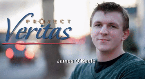 Video Thumbnail Loop