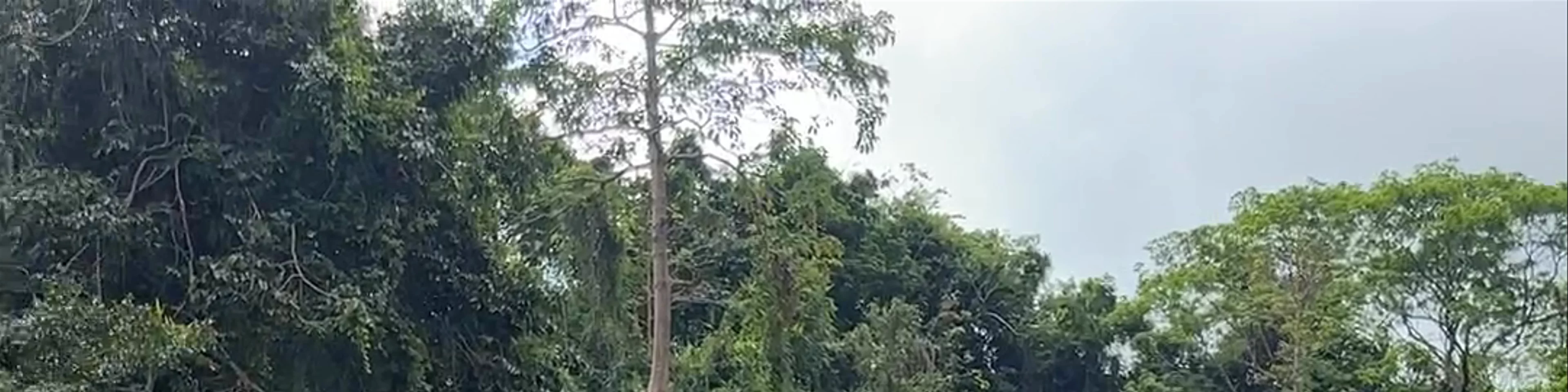 Bolinao Falls 3