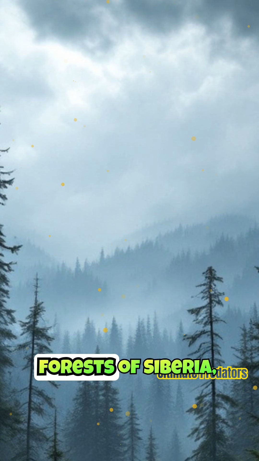 Clash of Titans: Grizzly Bear vs. Siberian Tiger Showdown