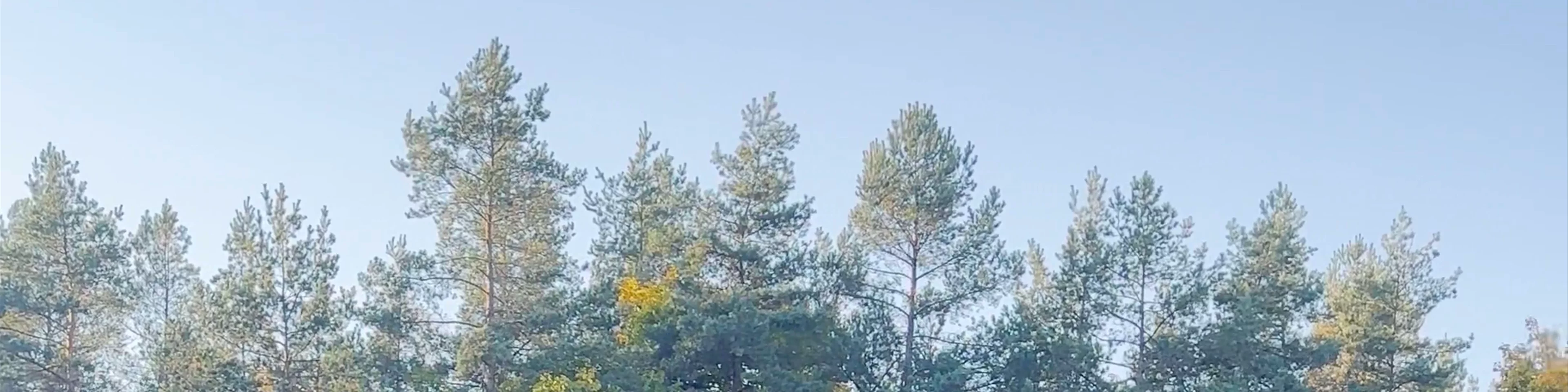 Elniakampio sodyba
