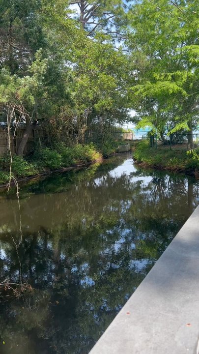 Clement Taylor Park - Parks Near Me - Destin, Florida